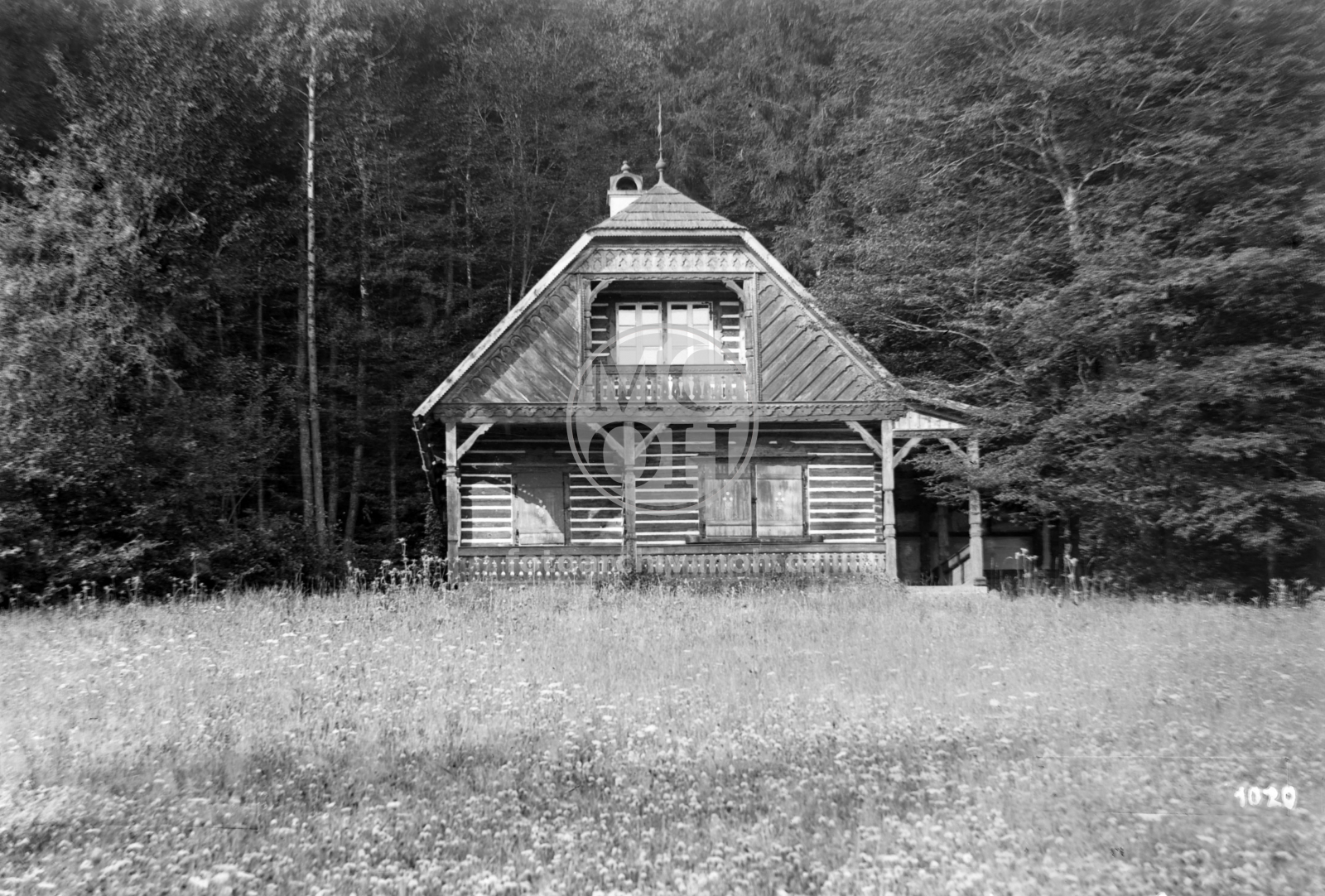 Negativ - Staročeská chaloupka