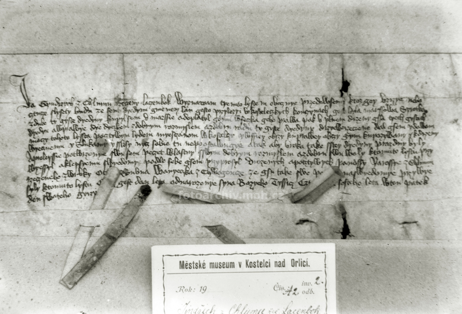 Negativ - Pergamen Jindřicha z Chlumu, 1406