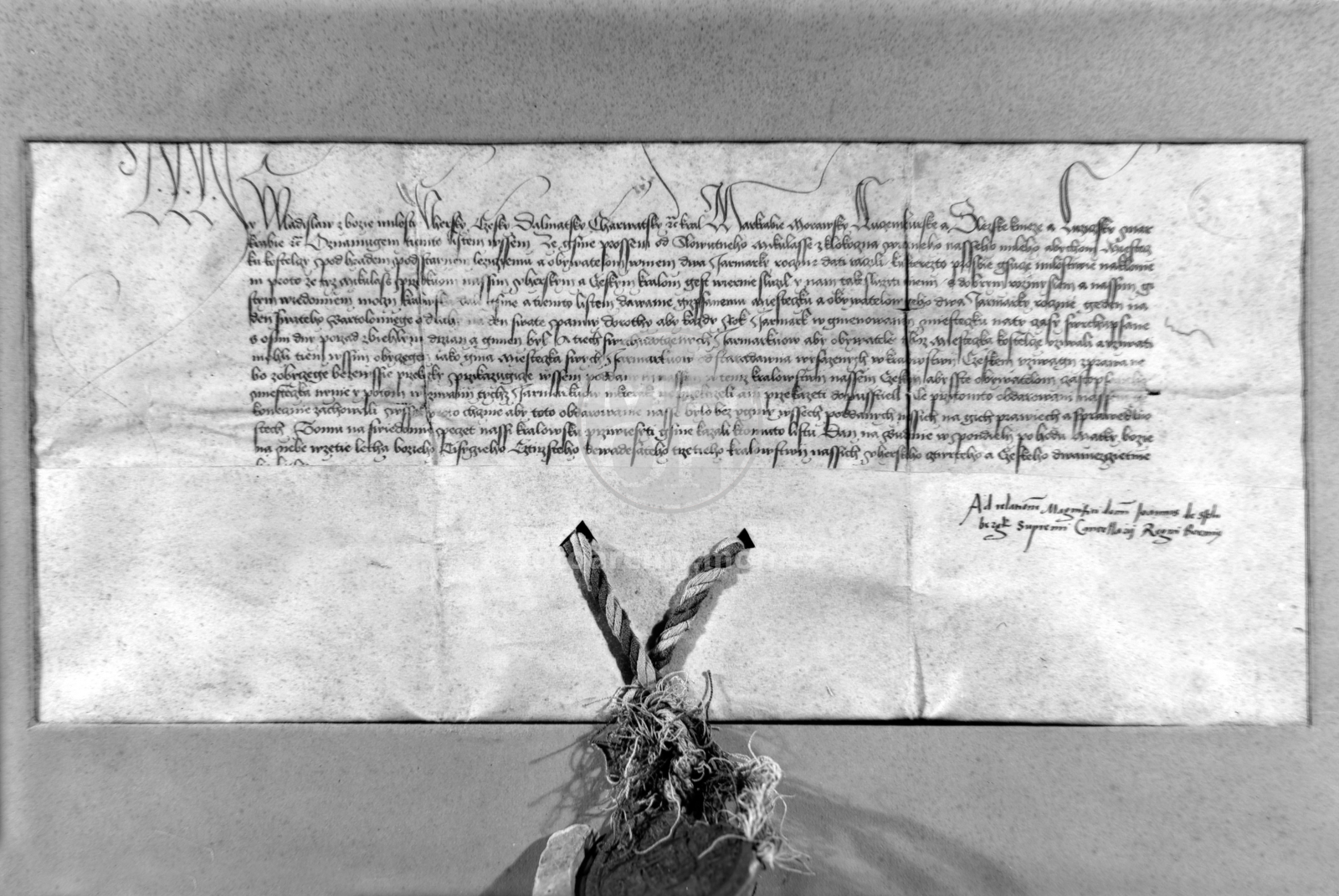 Negativ - Pečeť a listina Vladislava Jagellonského - 2 jarmarky, 1493