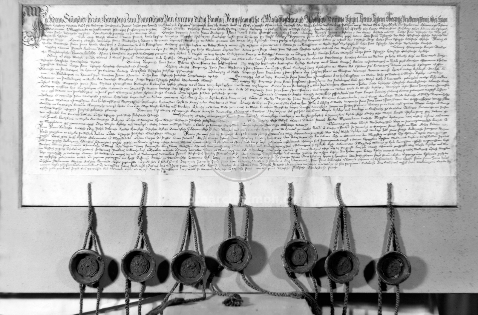 Negativ - Adam Šťastný Hrzán privil., 1585
