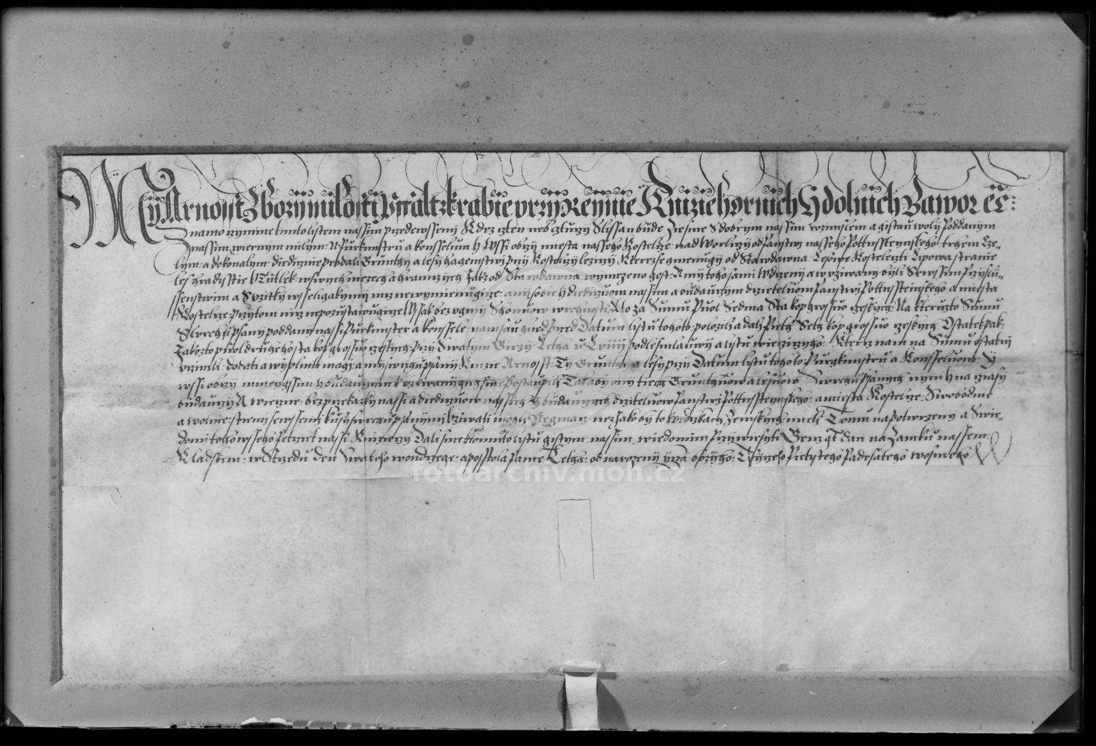 Negativ - Falckrabě Arnošt prodává lesy, 1558