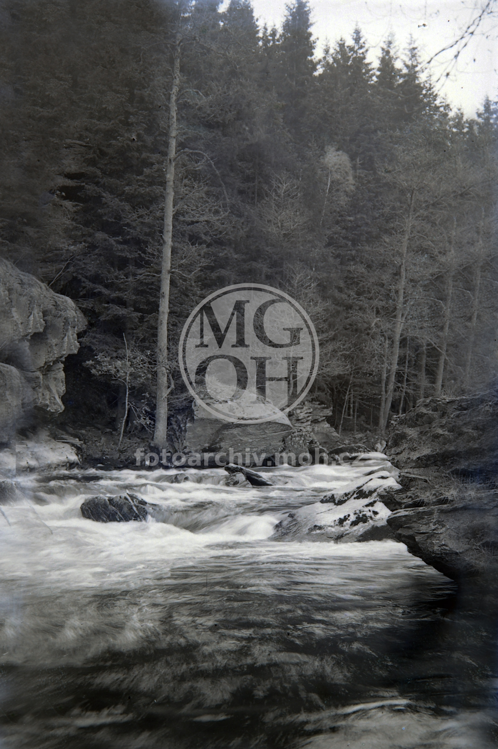 Negativ - Partie na Divoké Orlici