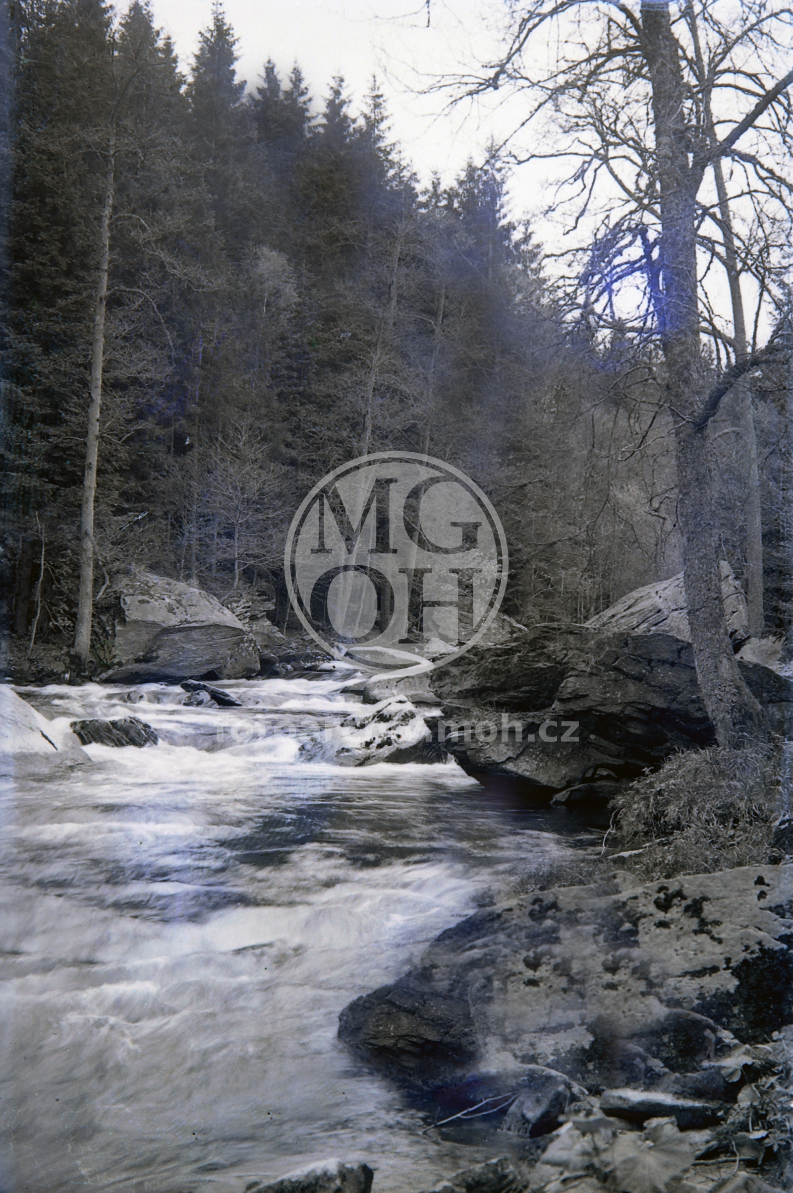 Negativ - Partie na Divoké Orlici