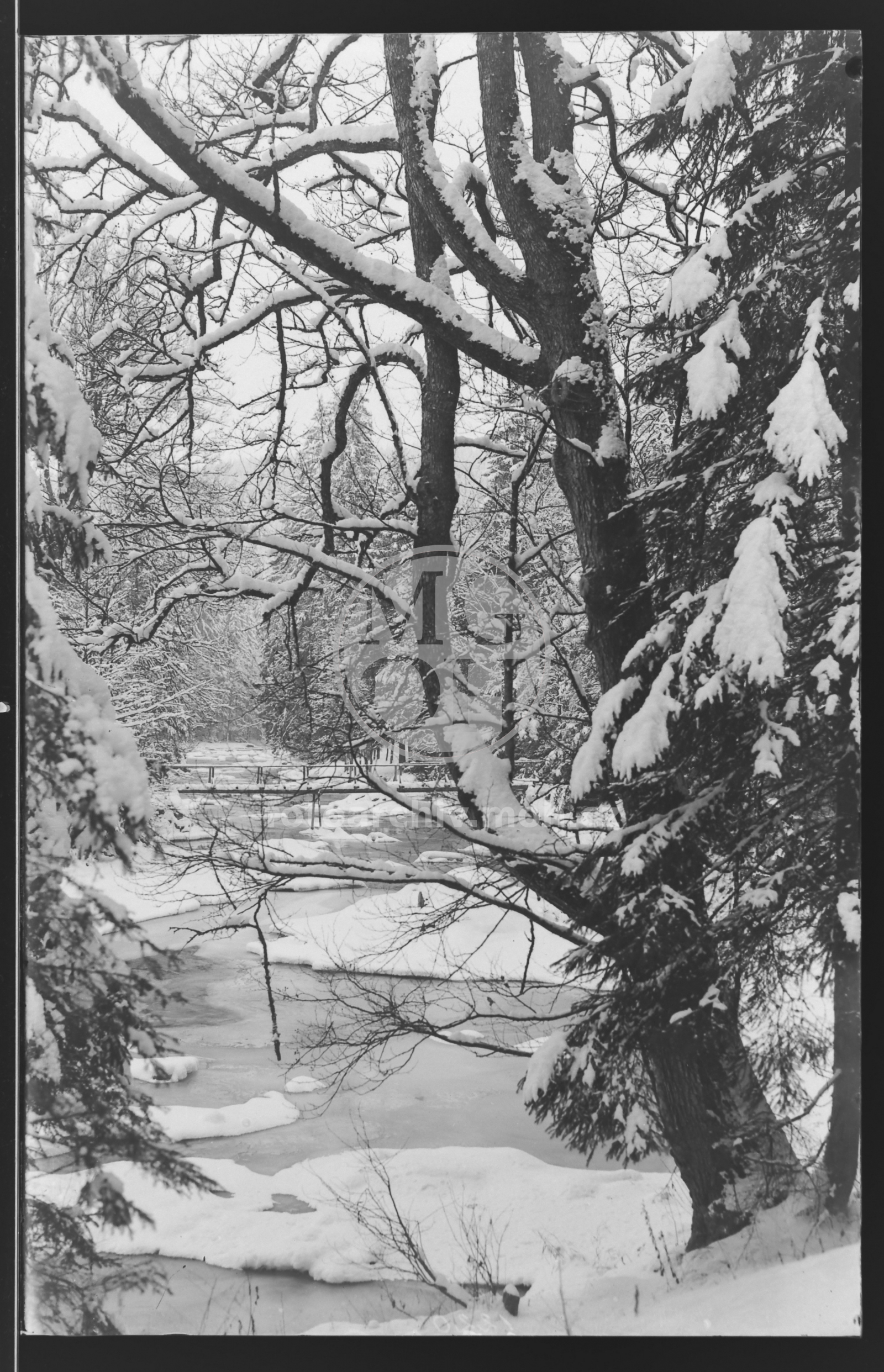 Negativ - Pašerácká lávka v zimě