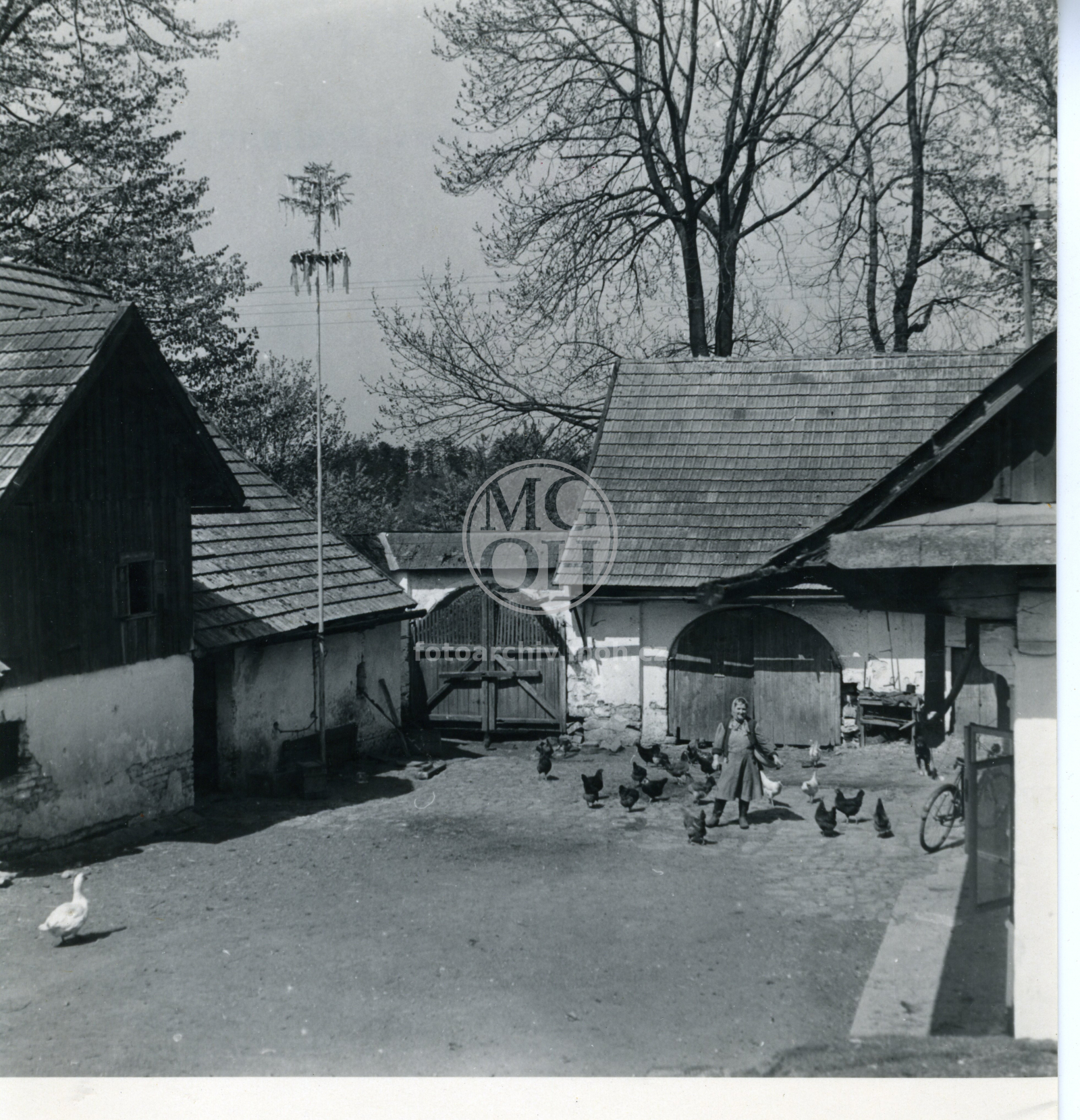Fotografie - Dům čp. 7 - Langrovi. Pohled do dvora