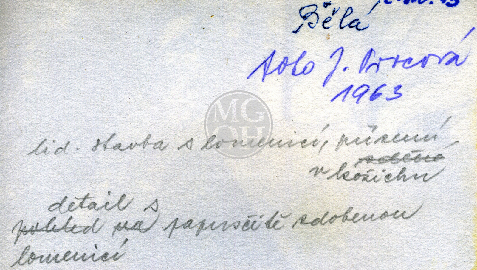 Fotografie - Dům čp. 7 - Langrovi, Lidová stavba s lomenicí, přízemí v kožichu. Detail s paprsčitě zdobenou lomenicí.
