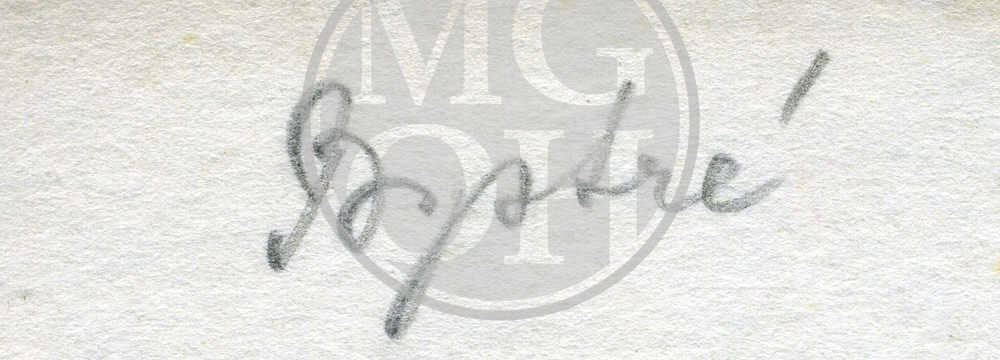 Fotografie - Roubená chalupa