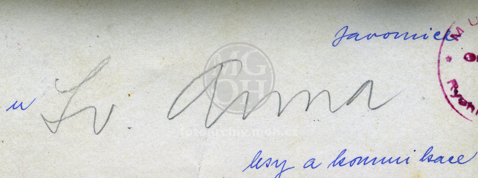 Fotografie - Lesy a komunikace