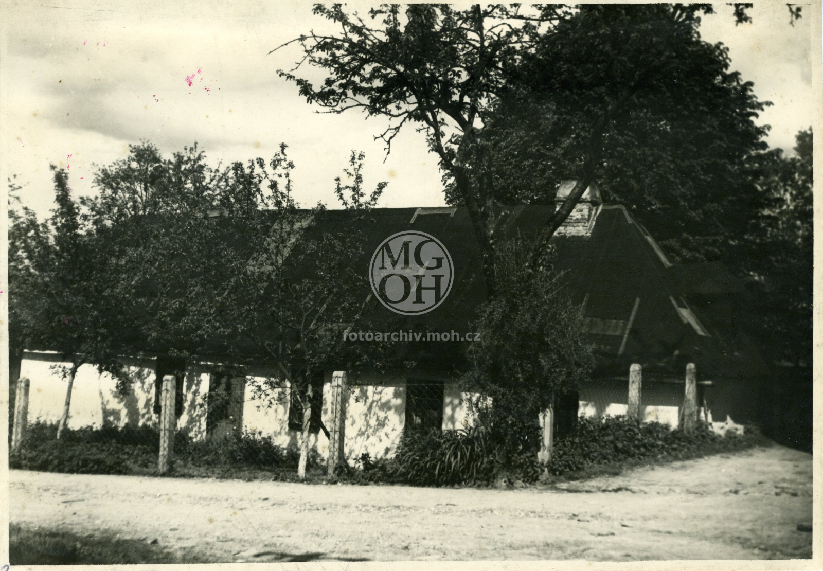 Fotografie - Dům čp. 333,  dřevěný omítnutý a obílený dům