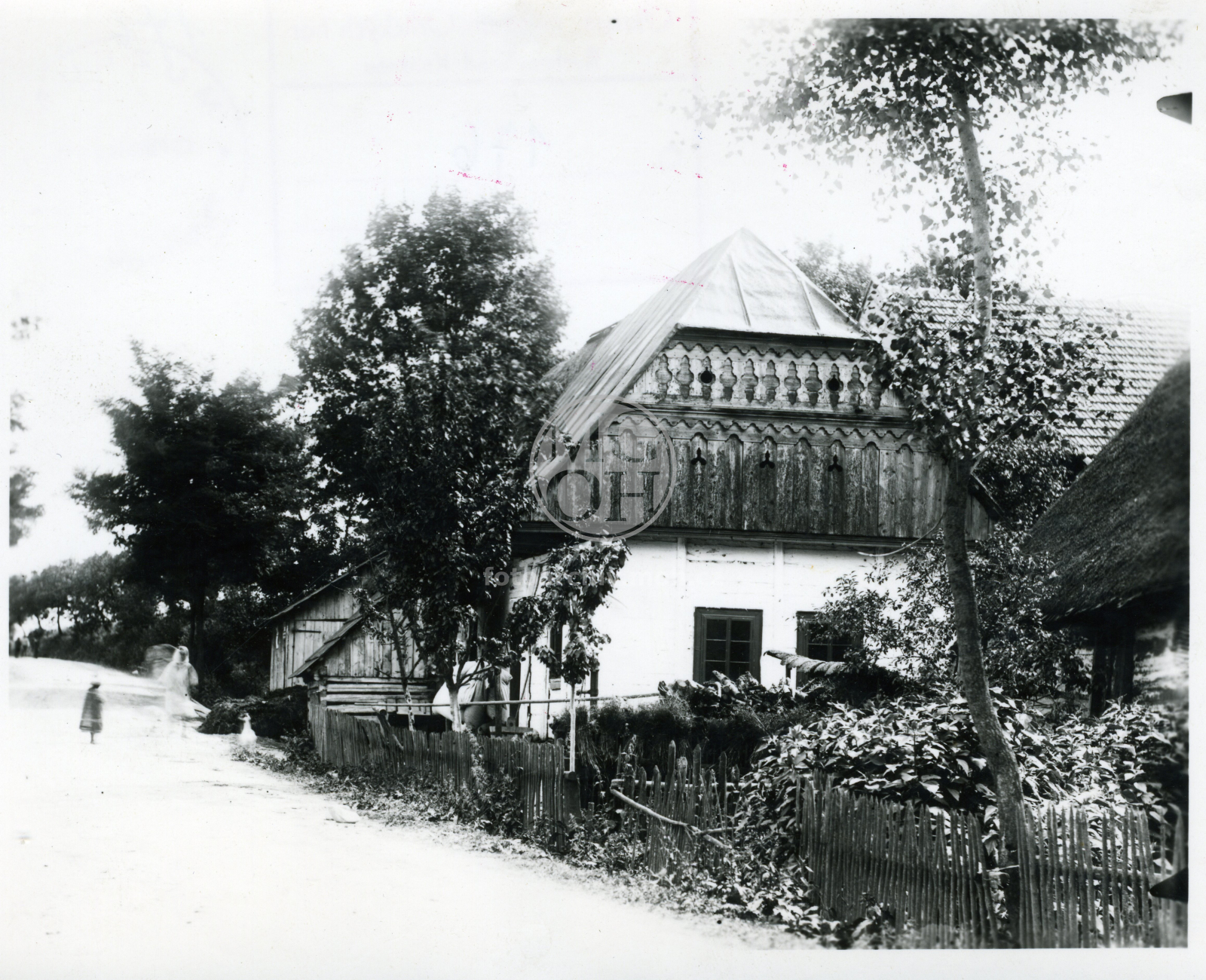 Fotografie - Dřevěná chalupa s obíleným spodkem, lomenice velmi bohatá, čp. 46