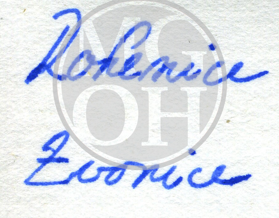 Fotografie - Dřevěná roubená stavba - detail střechy