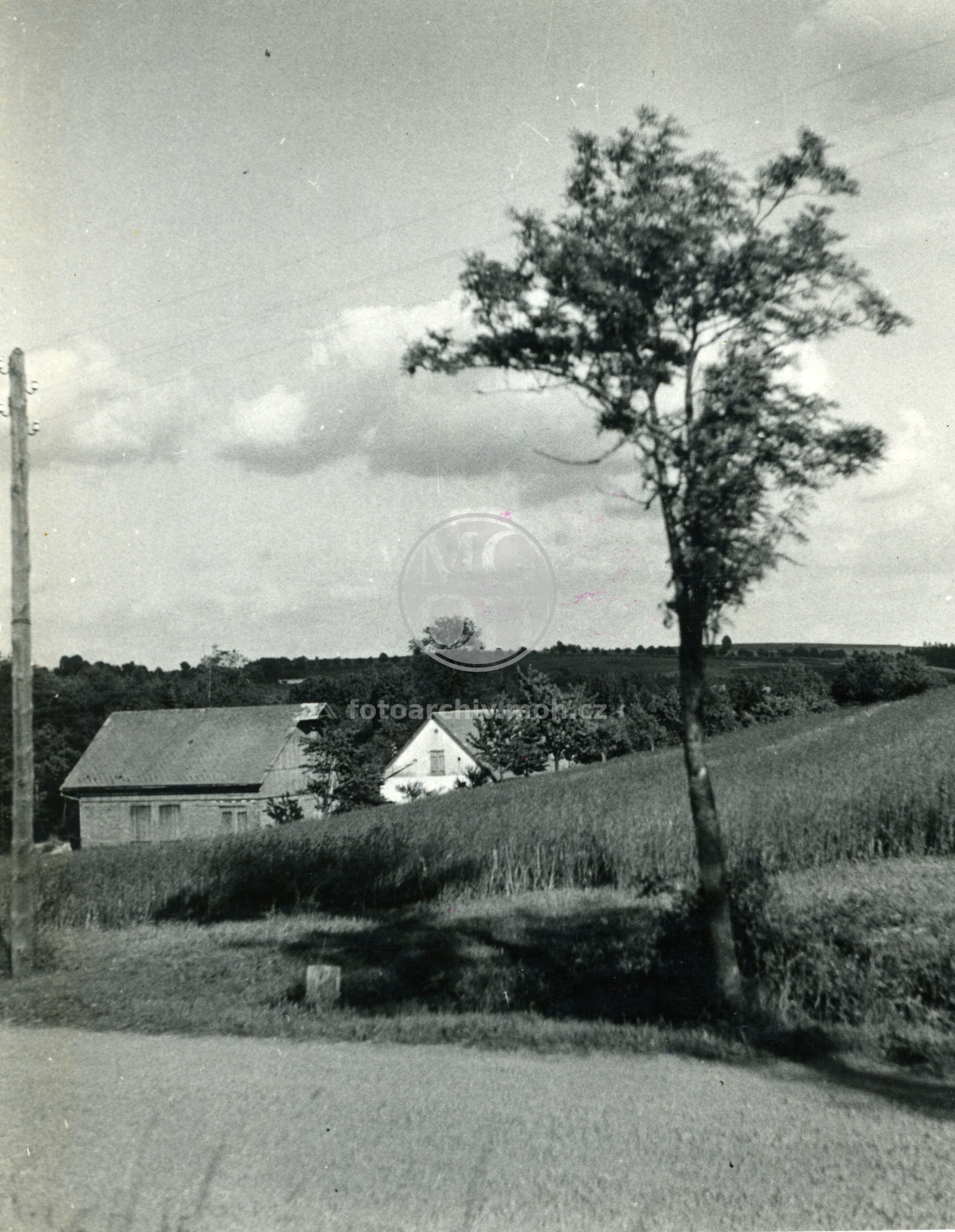 Fotografie - Dřevěná chalupa se zděnou stodolou ve stráni