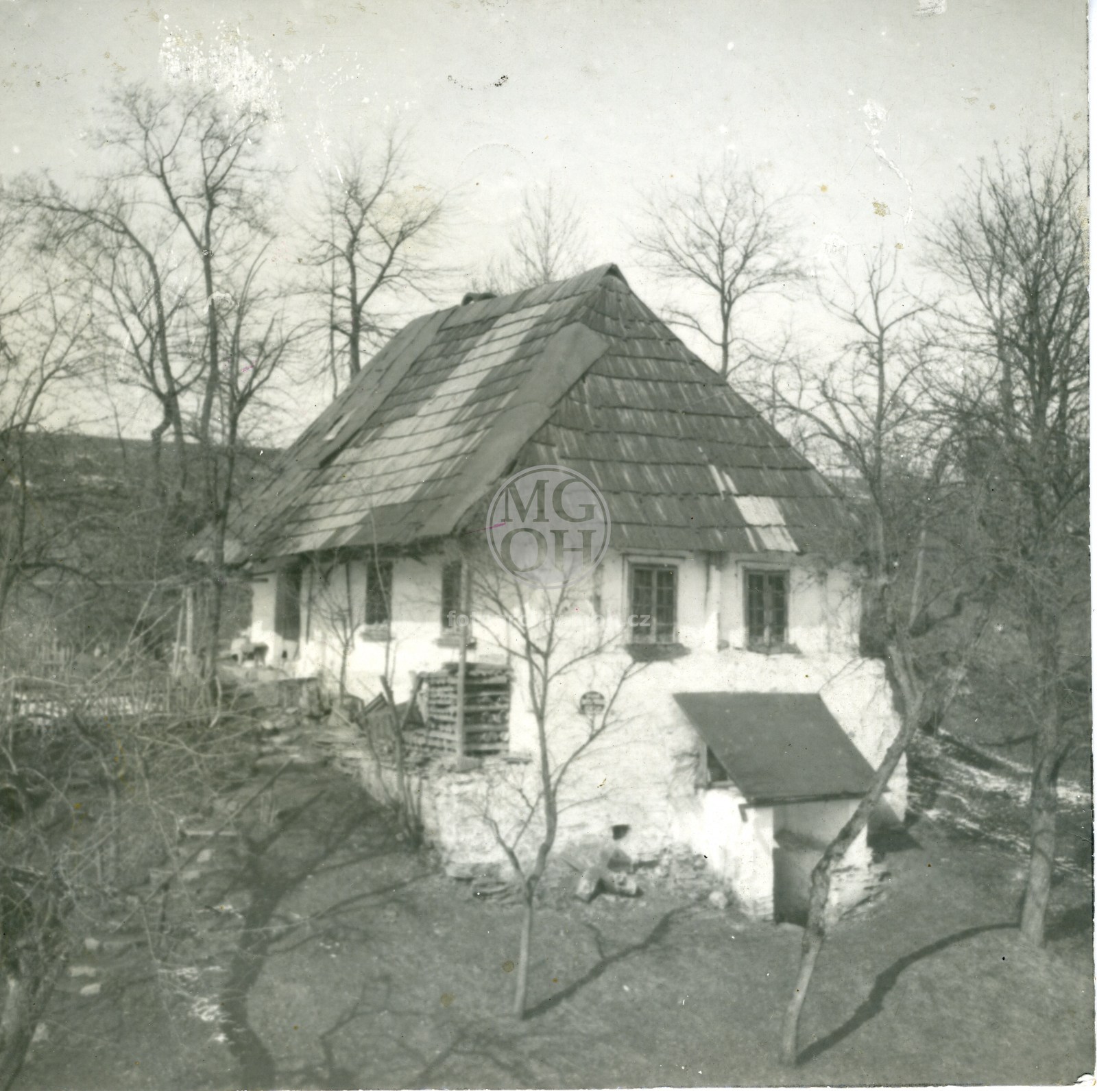 Fotografie - Dřevěná chalupa krytá došky