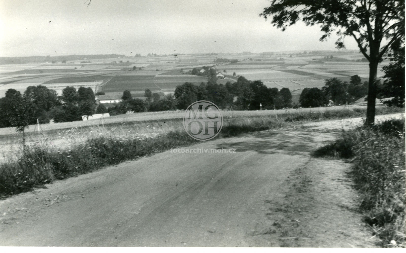 Fotografie - Javornice a Přím - pohled od Javornice
