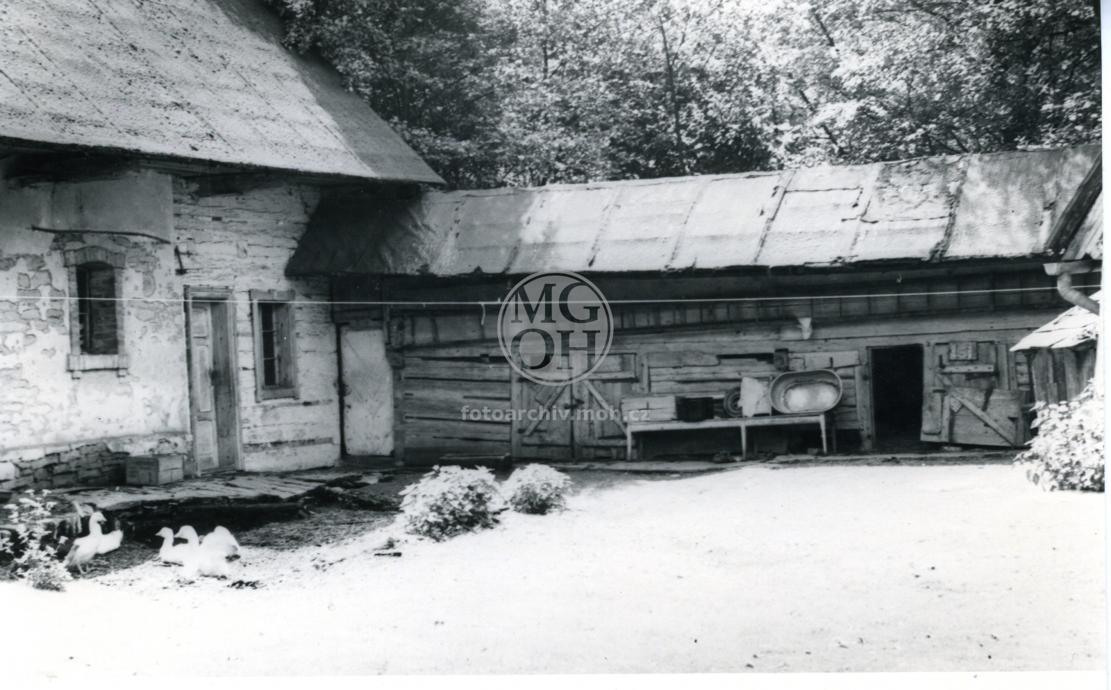 Fotografie - Zděná obytná budova, hospodářský přístavek roubený, dřev. lavička na zápraží