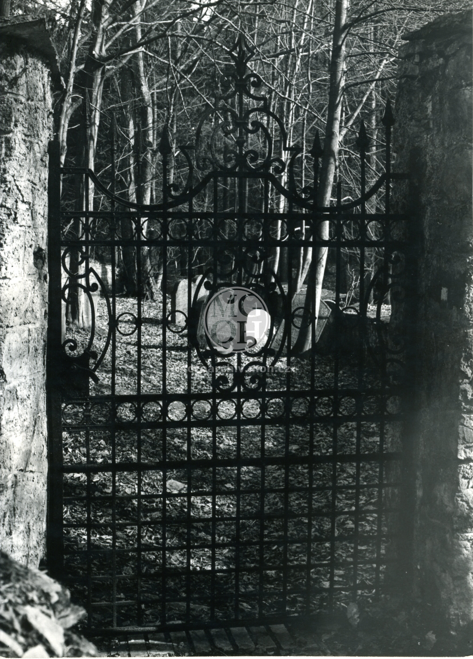 Fotografie - Židovský hřbitov - kovaná vrata