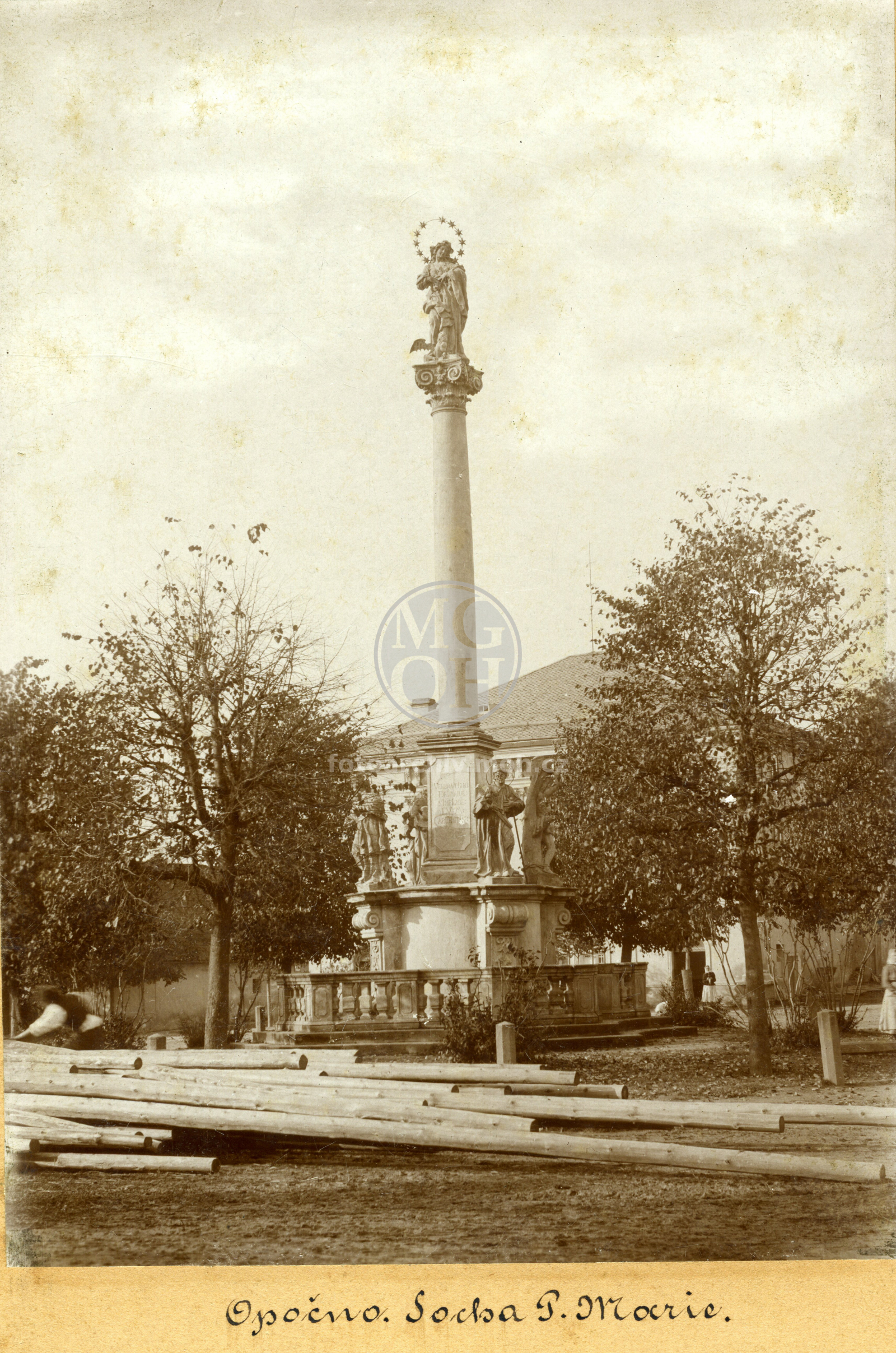 Fotografie - Socha P. Marie