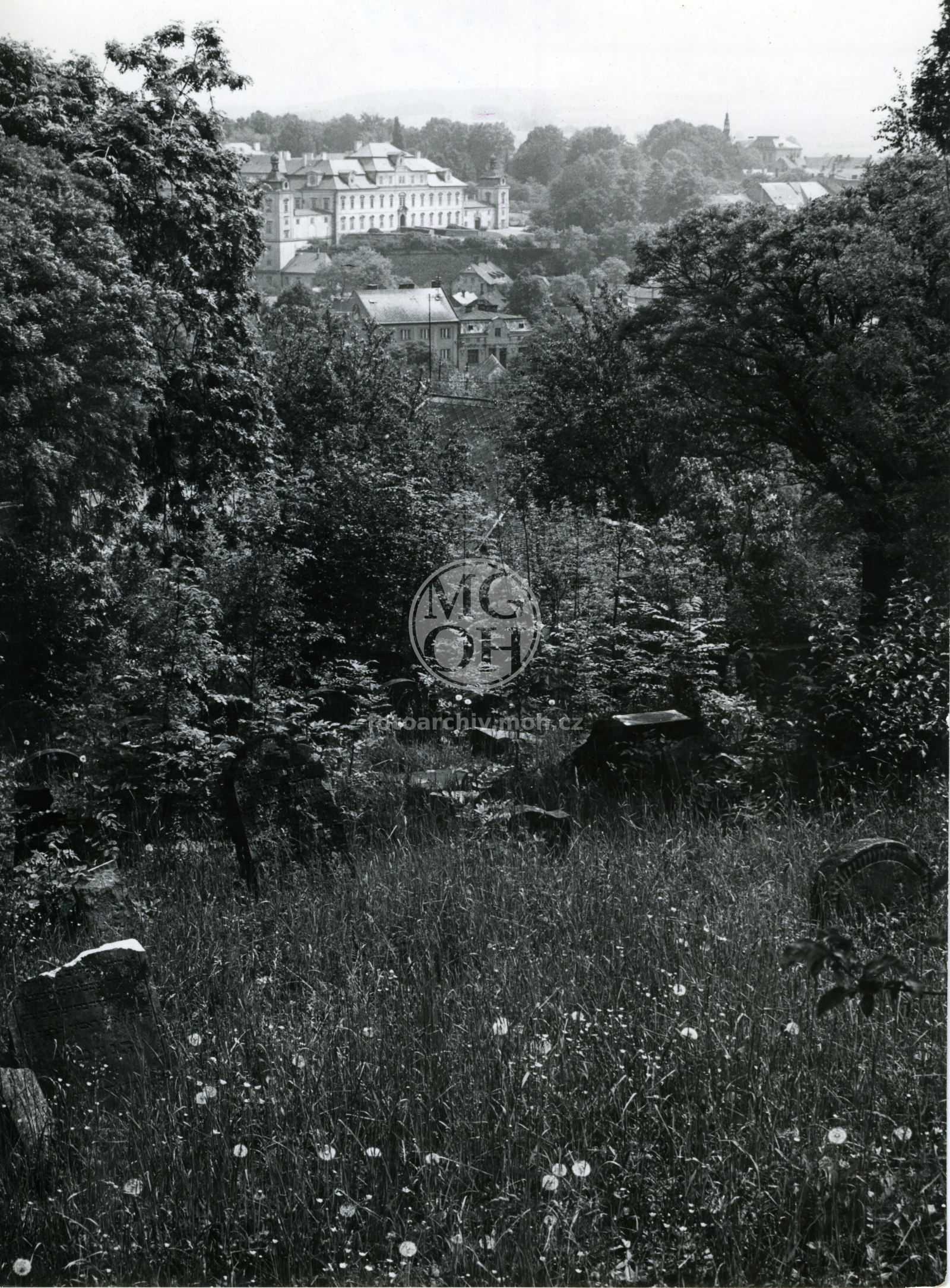 Fotografie - Zámek - pohled ze židovského hřbitova
