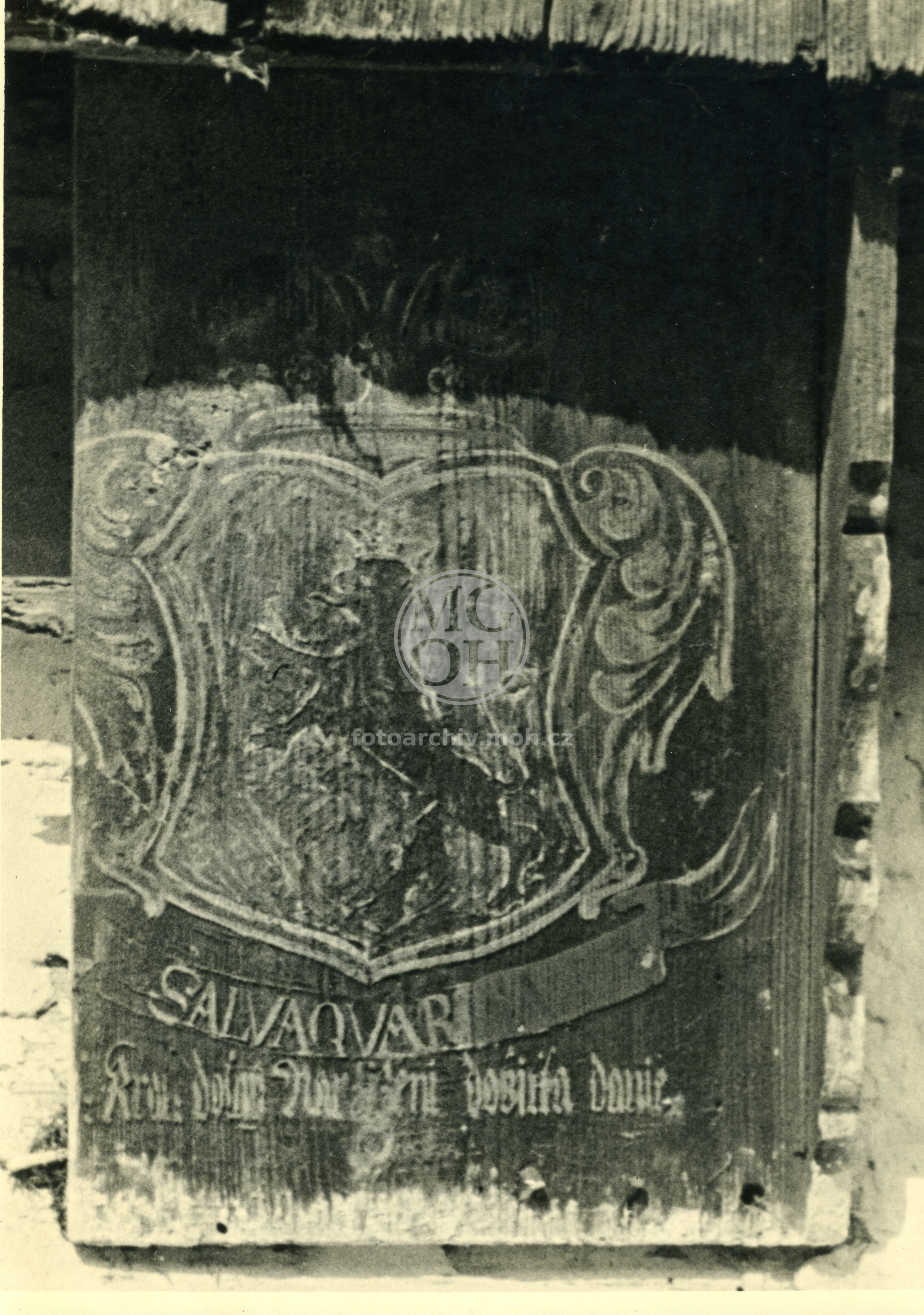 Fotografie - Dřevěná deska "Salvaquardia"