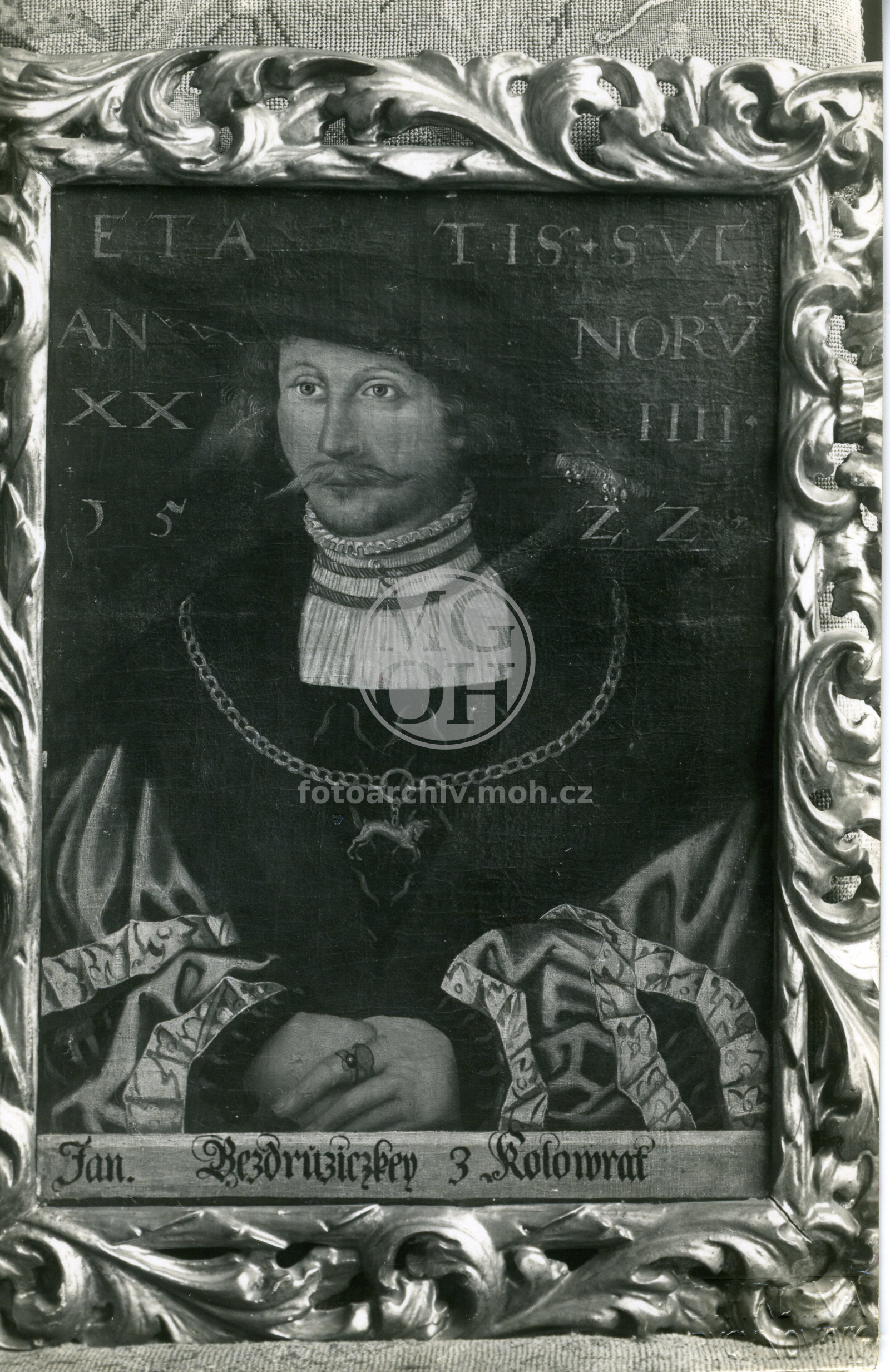 Fotografie - Obraz Jana  Bezdružic z Kolowrat 1522