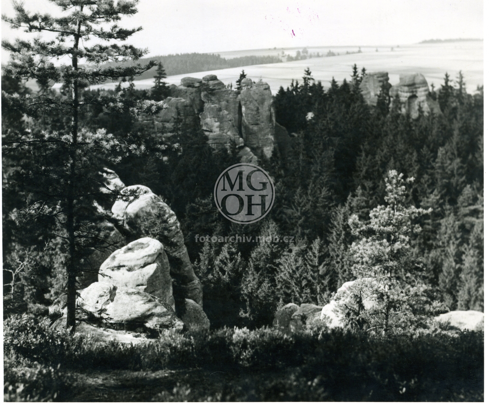 Fotografie - Skály na Ostaši