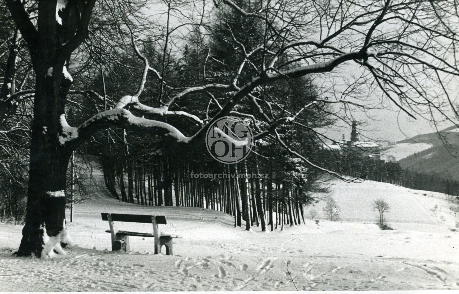 Fotografie - V zimě - pohled k zámku - krajina