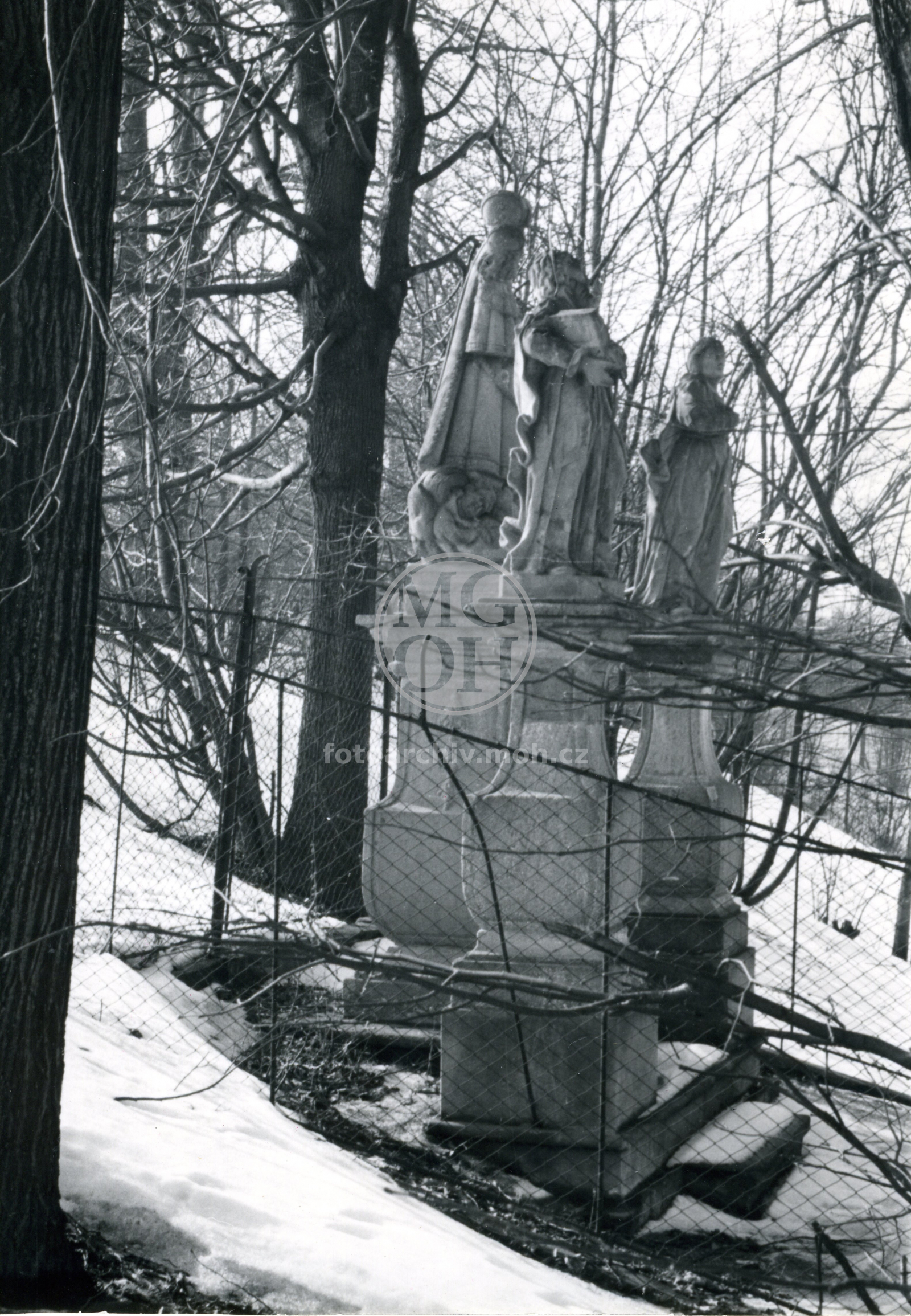 Fotografie - P. Maria Cellská