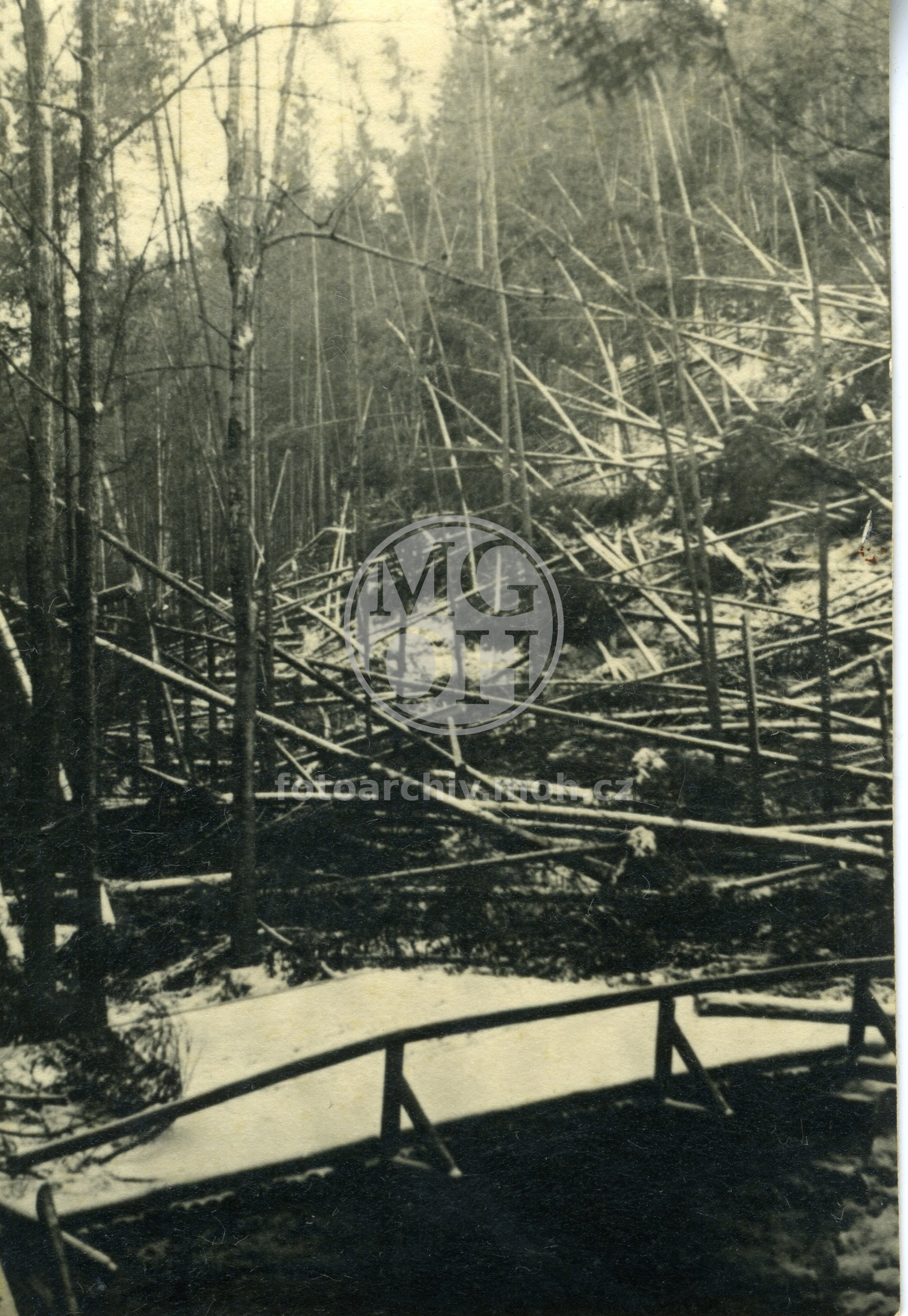 Fotografie - Polom ve Včelném 1941