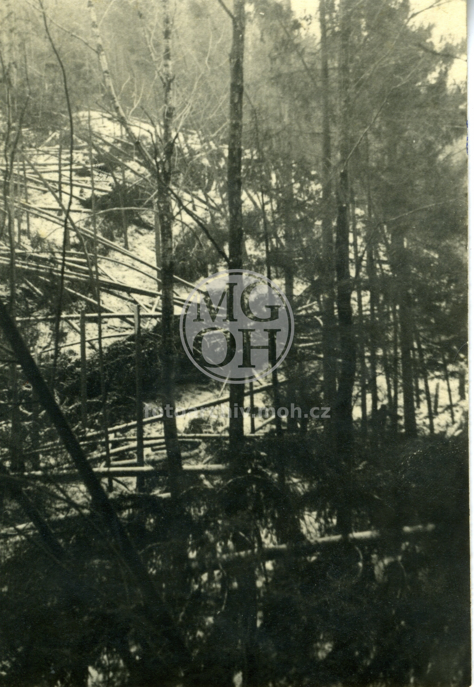 Fotografie - Polom ve Včelném 1941