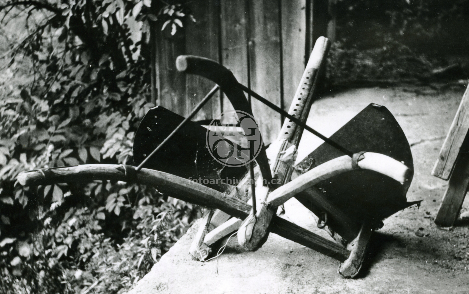 Fotografie - Pluh   " tříklečák "