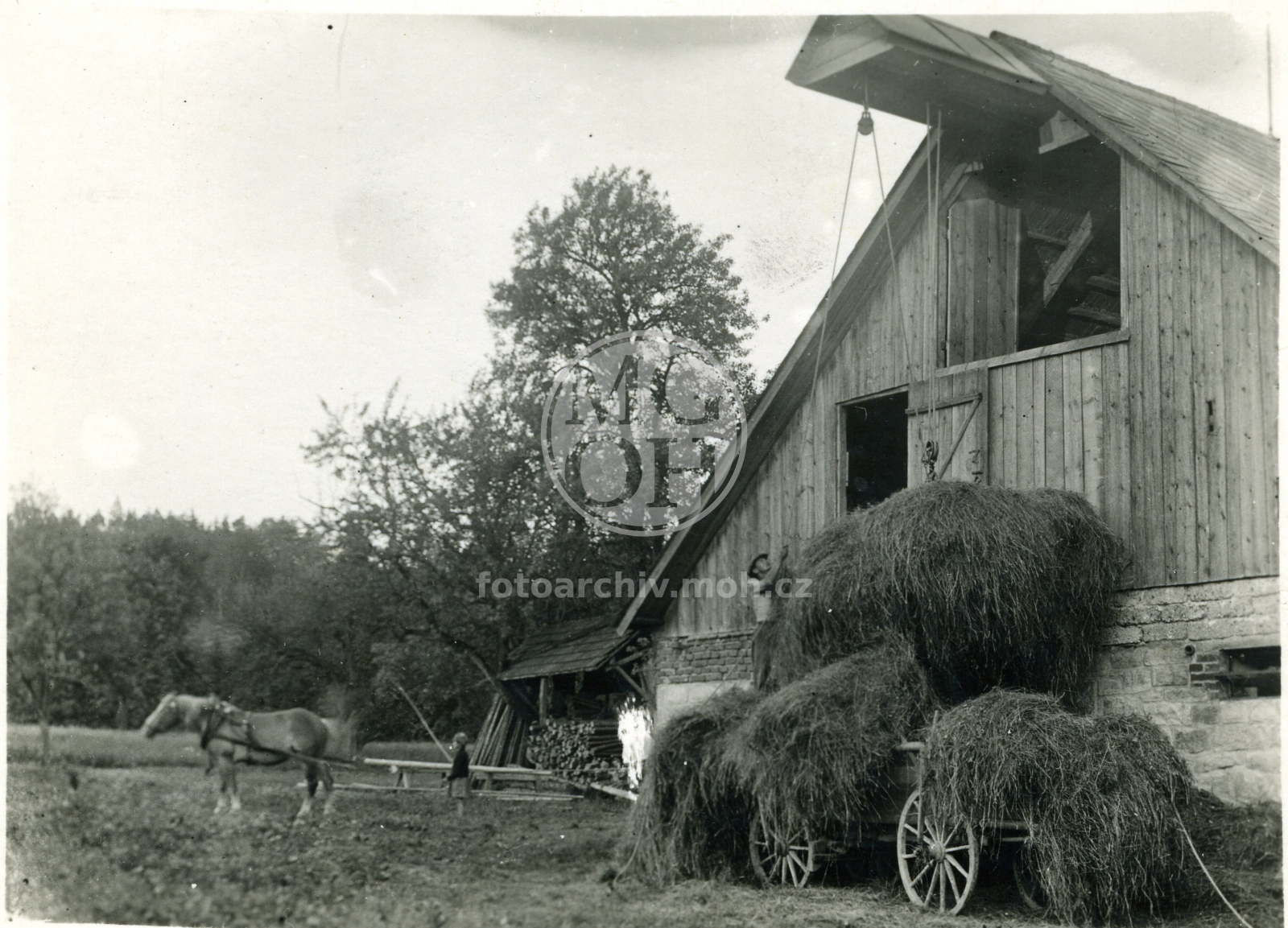 Fotografie - Zvedání fundele s fůry jednokoňským potahem