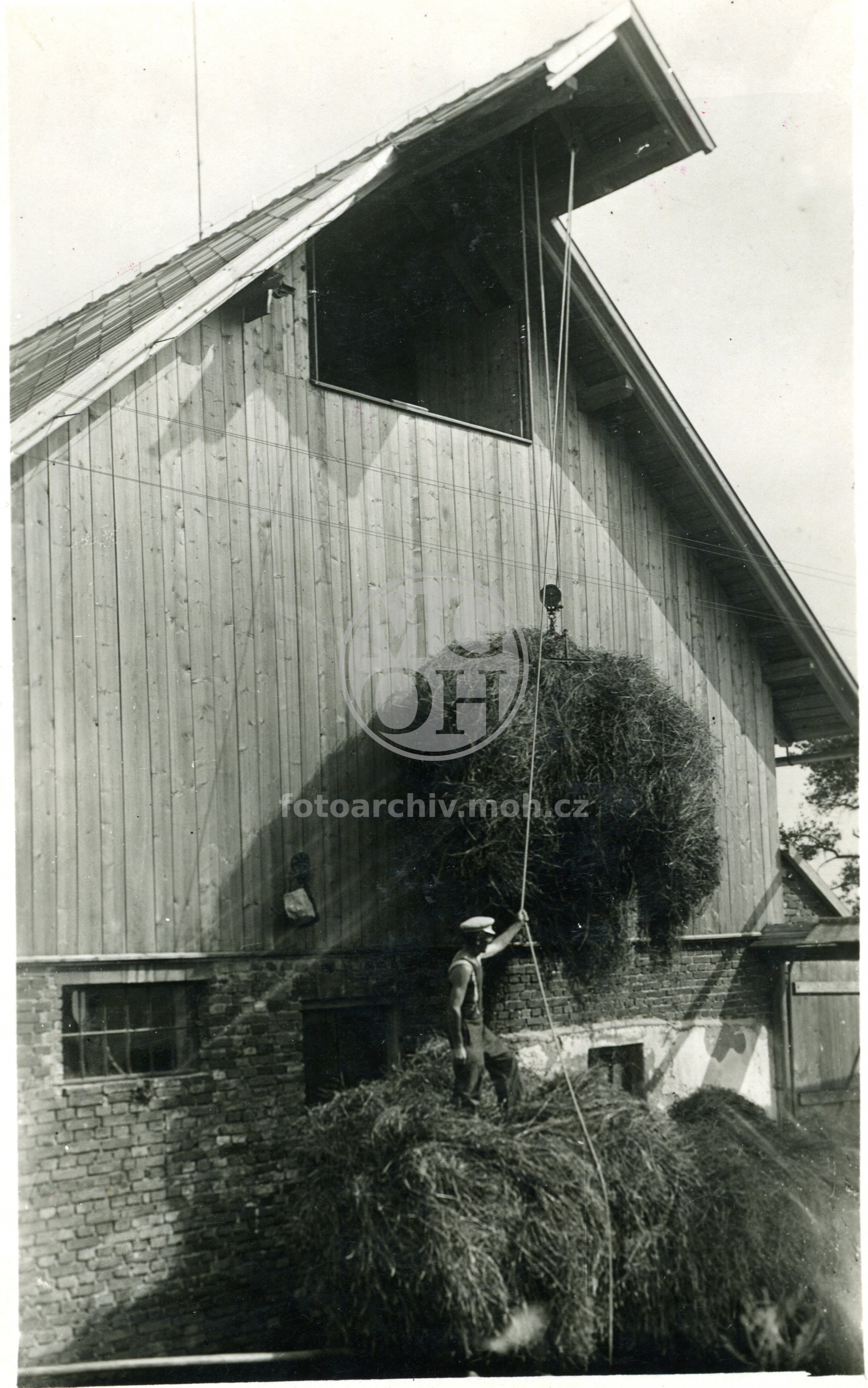 Fotografie - Zvedání fundele s fůry jednokoňským potahem