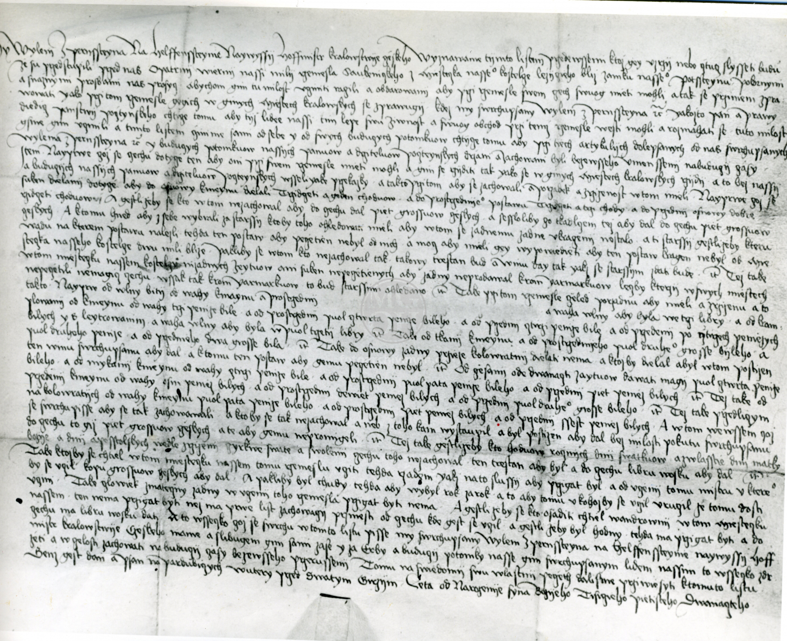 Fotografie - Nejstarší cechovní pergamen 1512