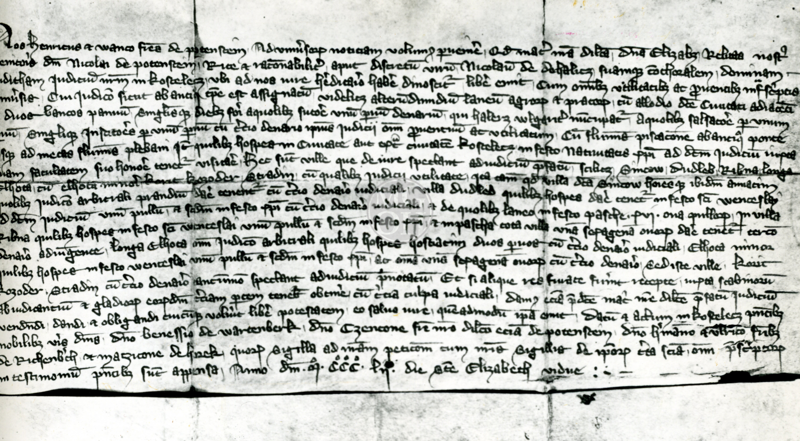 Fotografie - Nejstarší kostelecký pergamen 1352