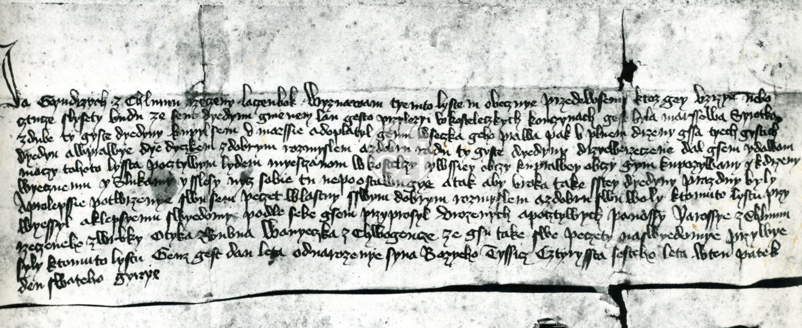 Fotografie - Pergamen 1406