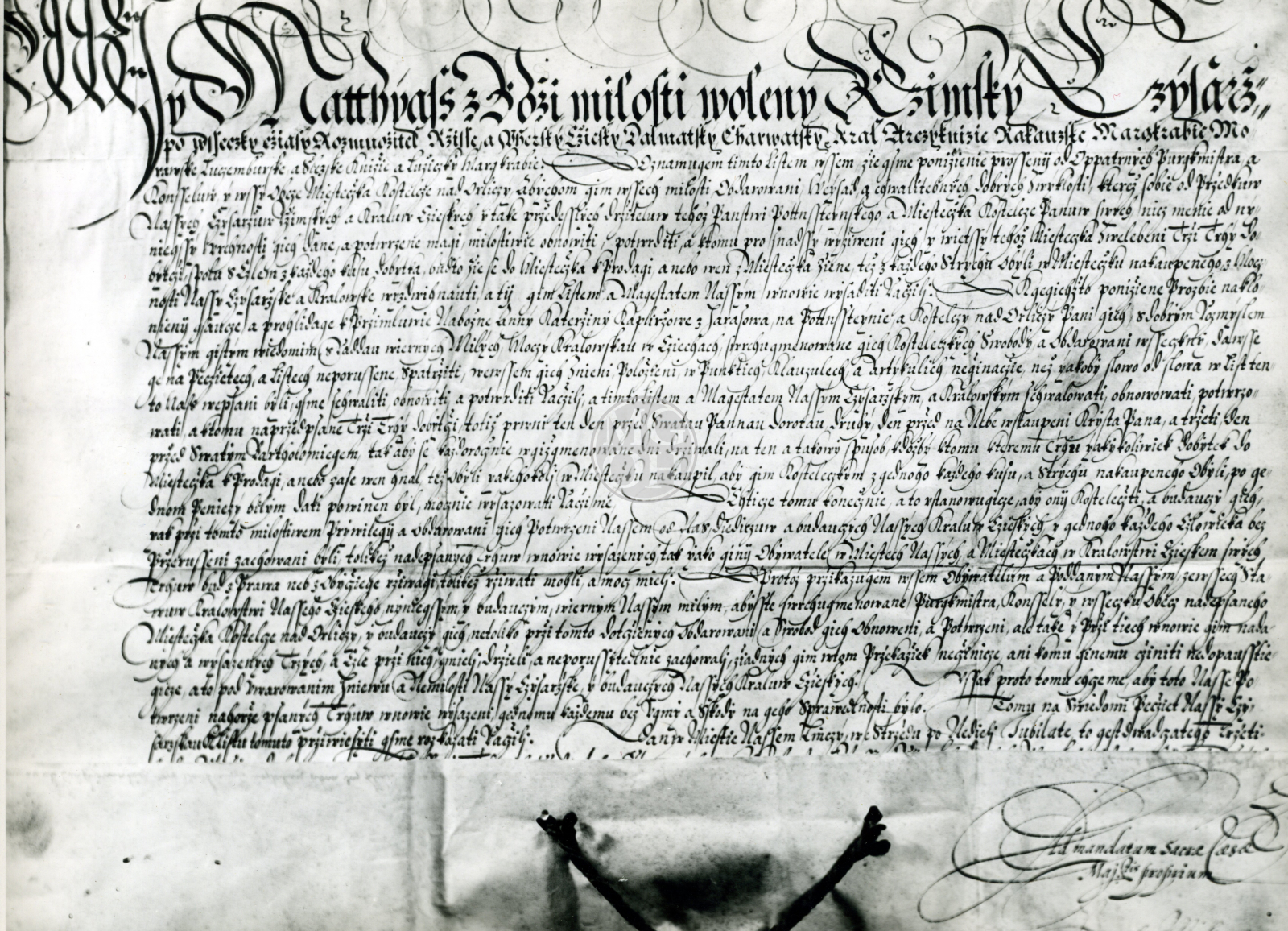 Fotografie - Císař Matyáš dává 3 dobytčí trhy, 1614