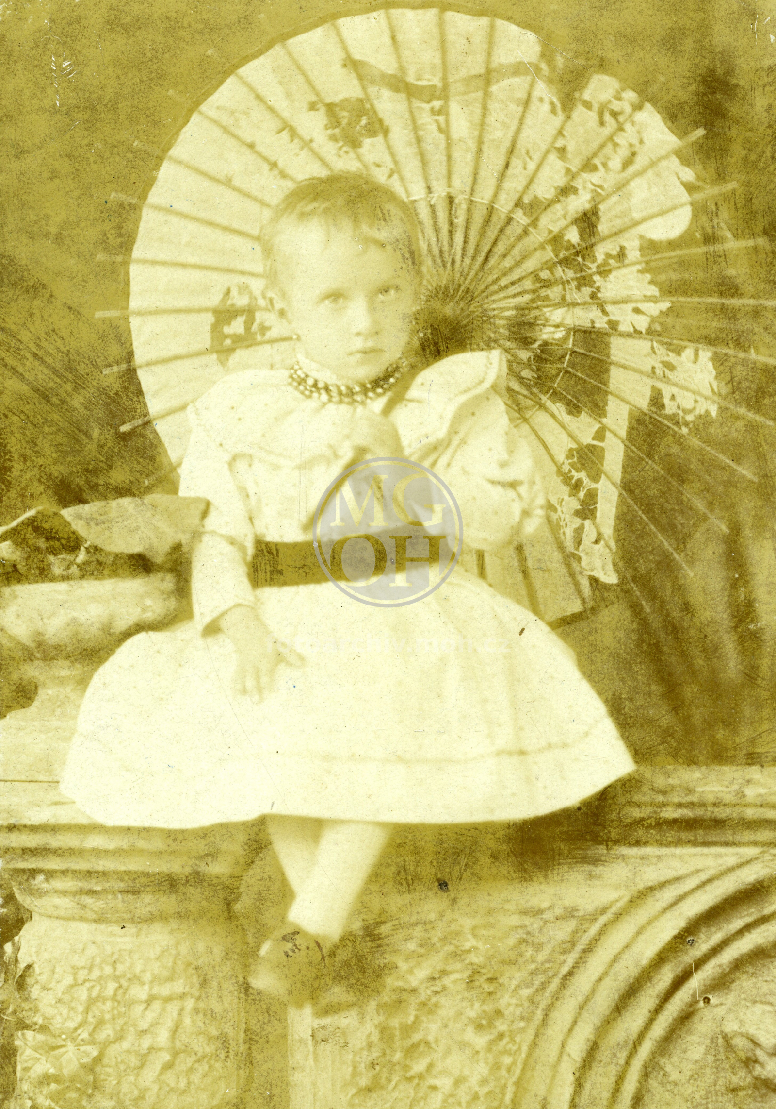 Fotografie - Osoba: Červená roz. Förstlová Ludmila