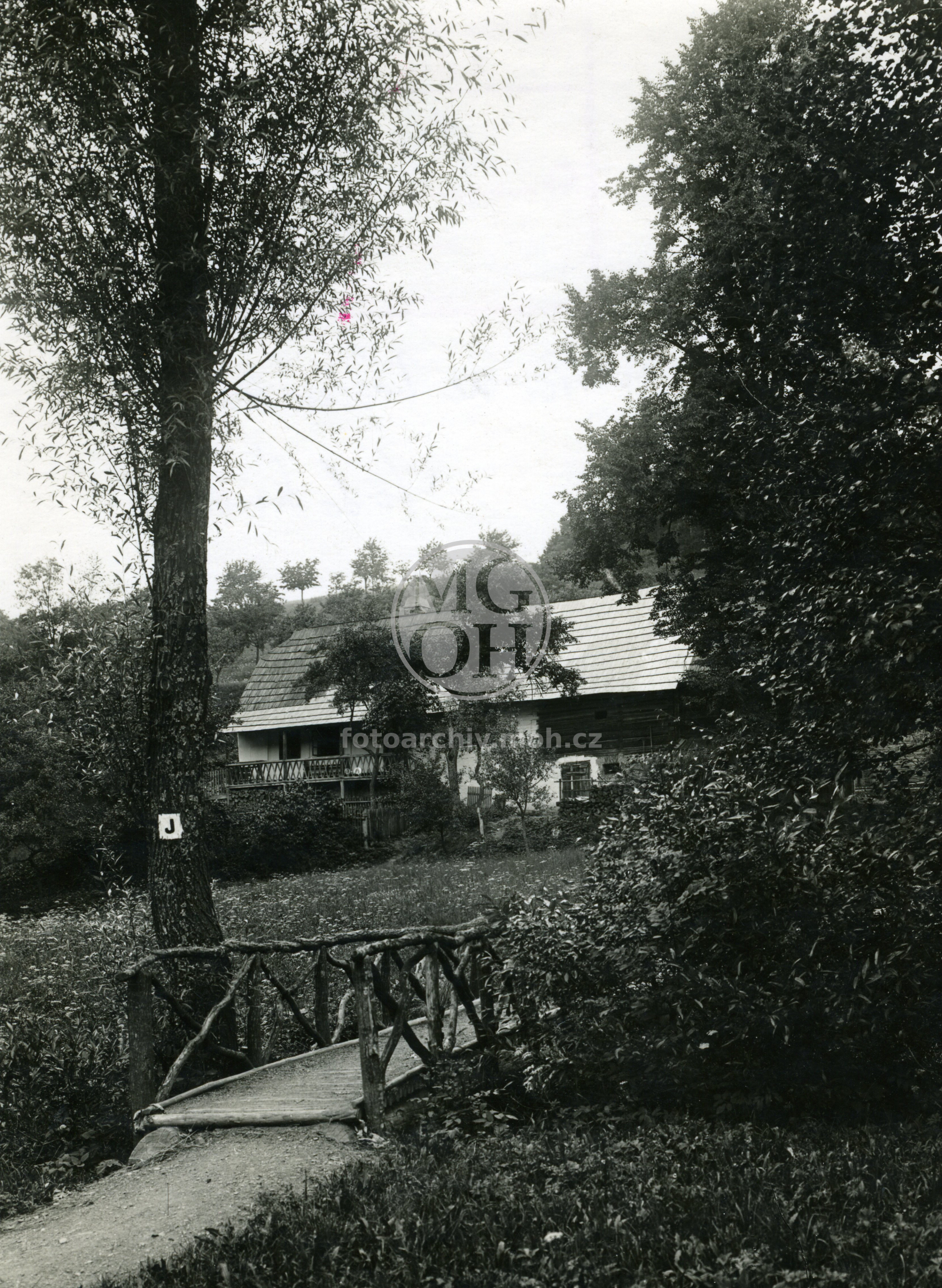 Fotografie - Partie ze Včelného