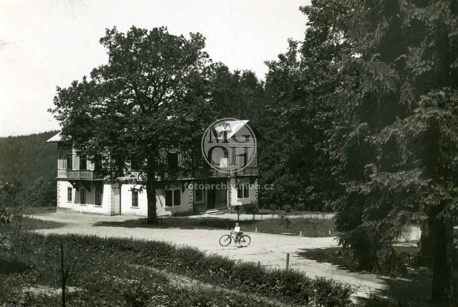 Fotografie - Vila ve Studánce