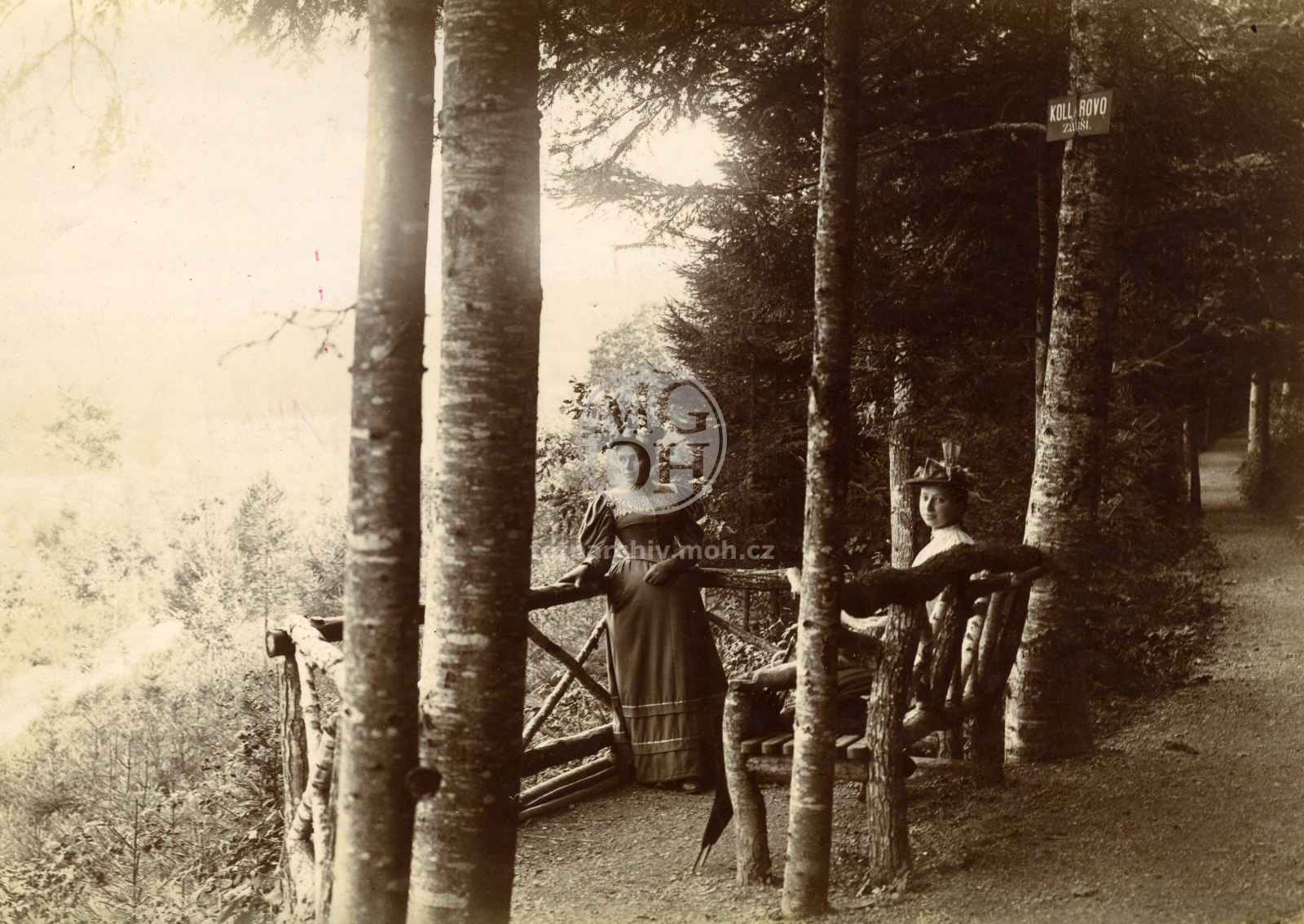 Fotografie - Včelné u Ivanského jezera