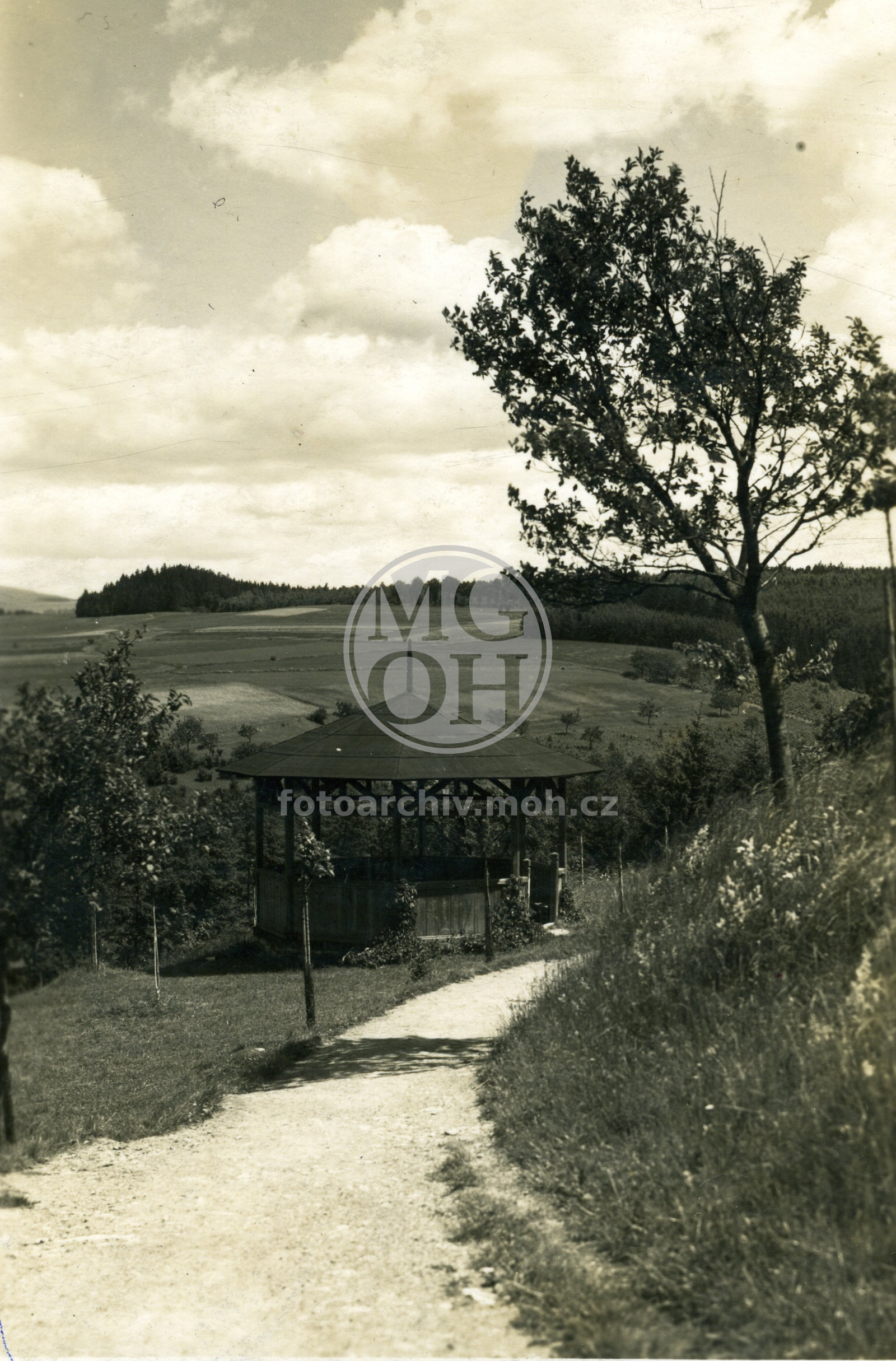 Fotografie - Partie u Rychnova