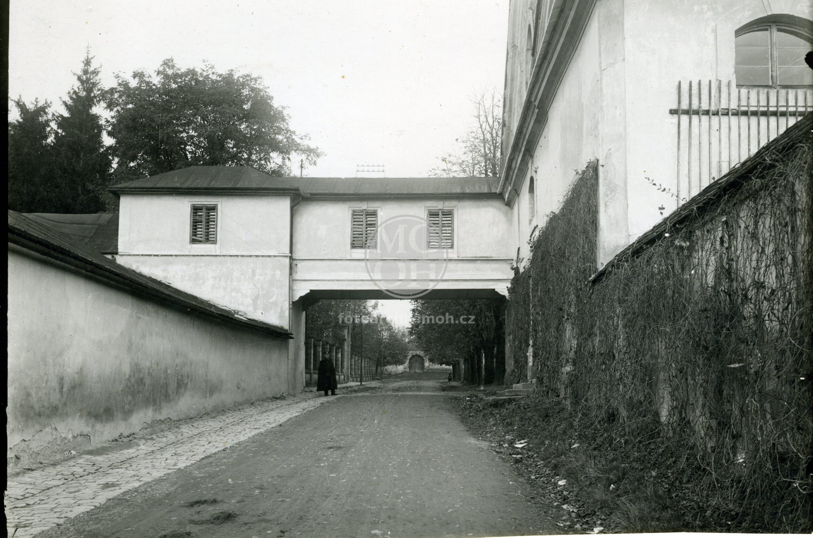 Fotografie - Cesta k jízdárně