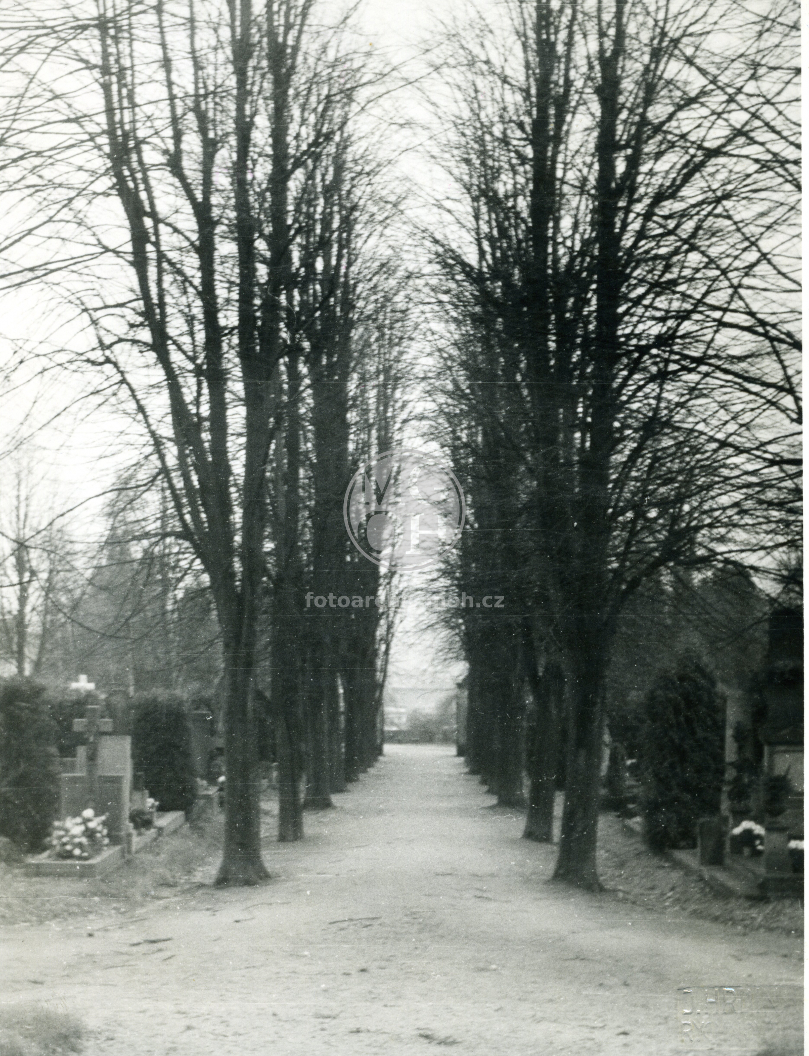 Fotografie - Hřbitov nový