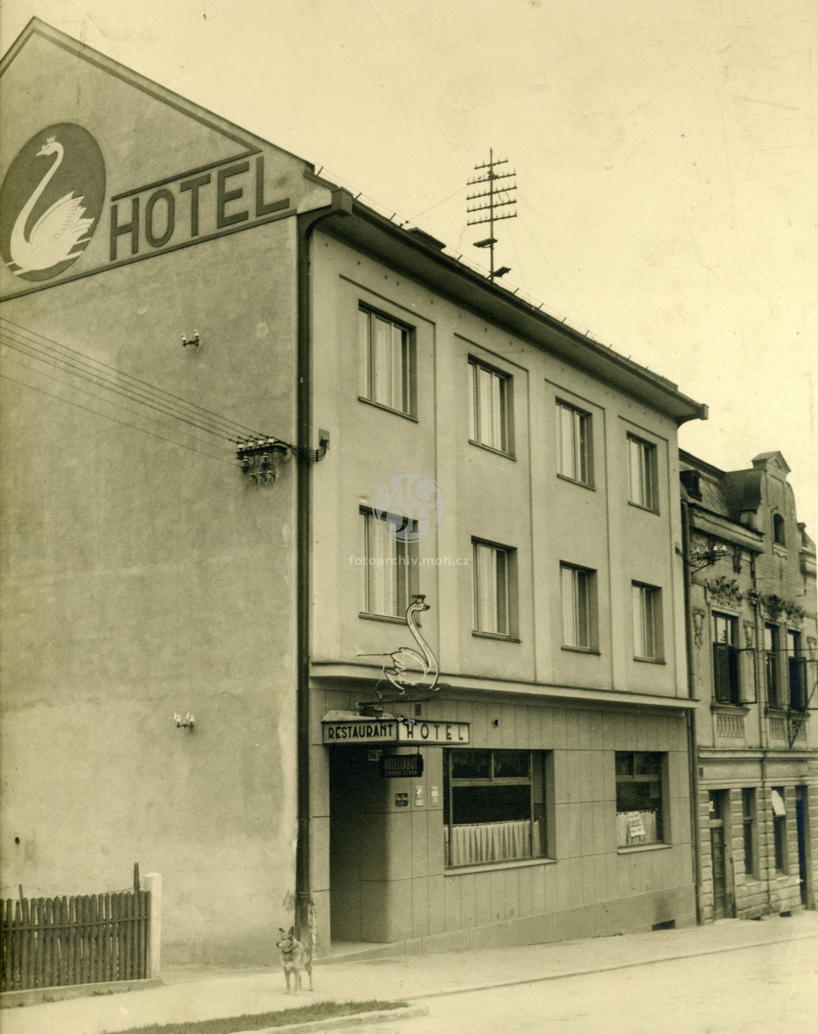 Fotografie - Hotel "Labuť"