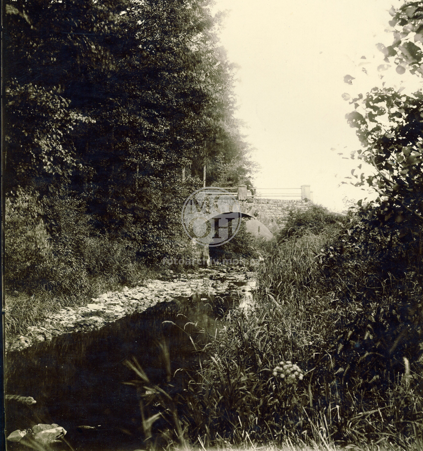 Fotografie - Kamenný most ve Spále pod městem