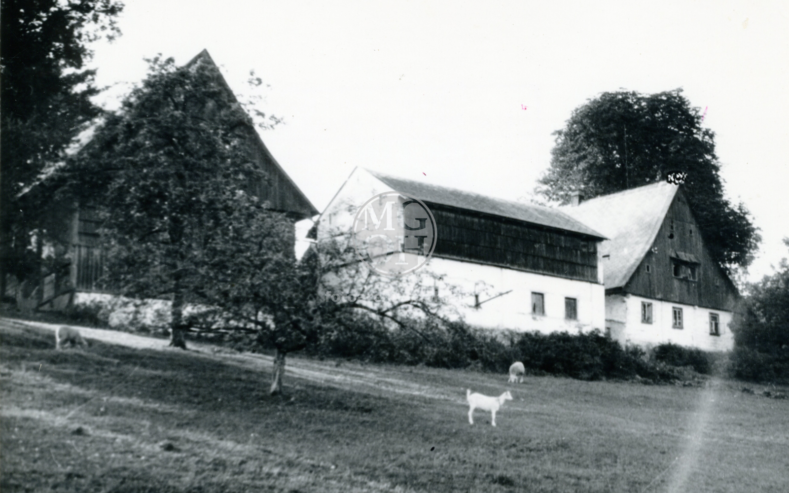 Fotografie - Pohled na statek čp.2