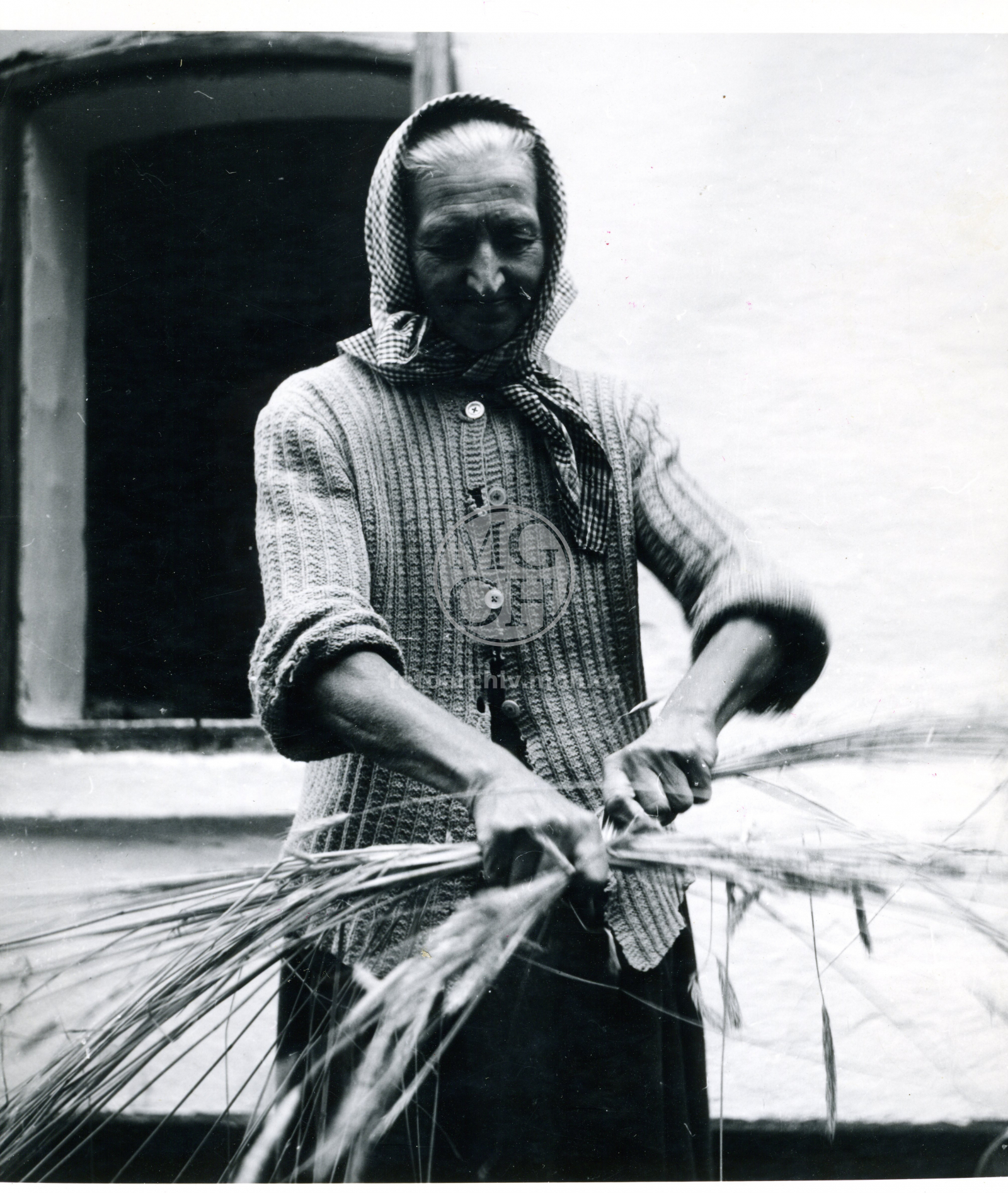 Fotografie - Výroba povřísla