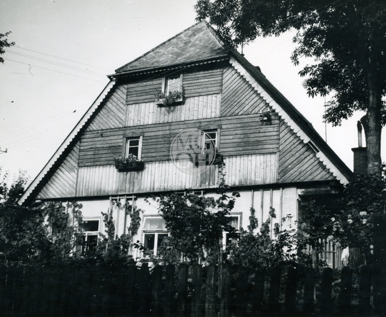 Fotografie - Dřevěný štít