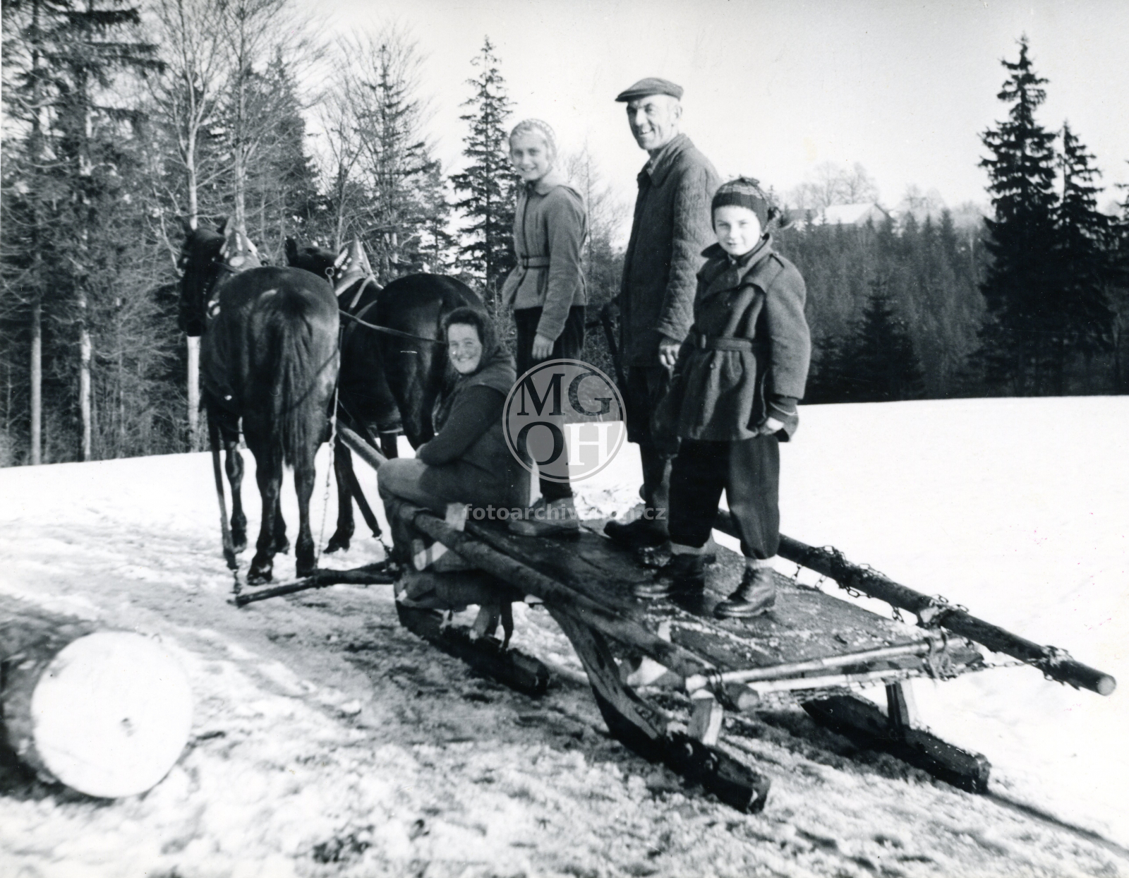 Fotografie - Saně na svážení klád