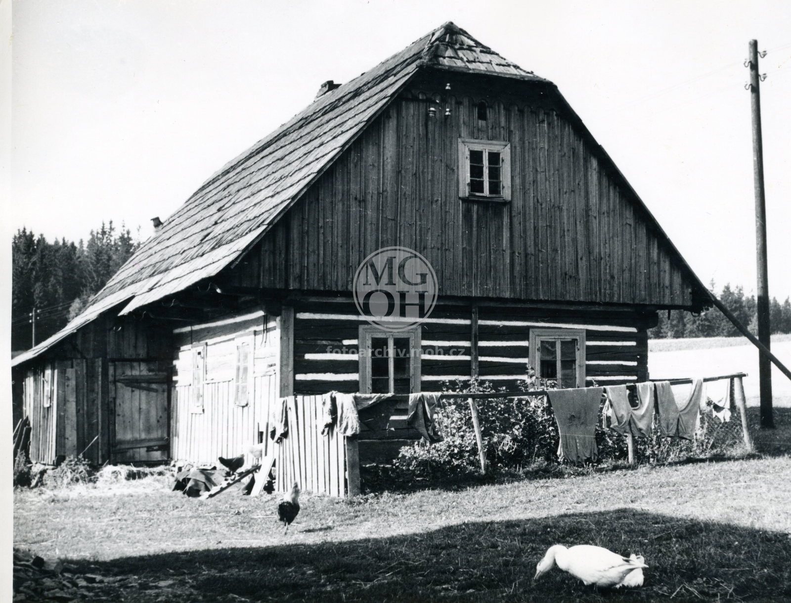 Fotografie - Roubená chalupa bez čp.